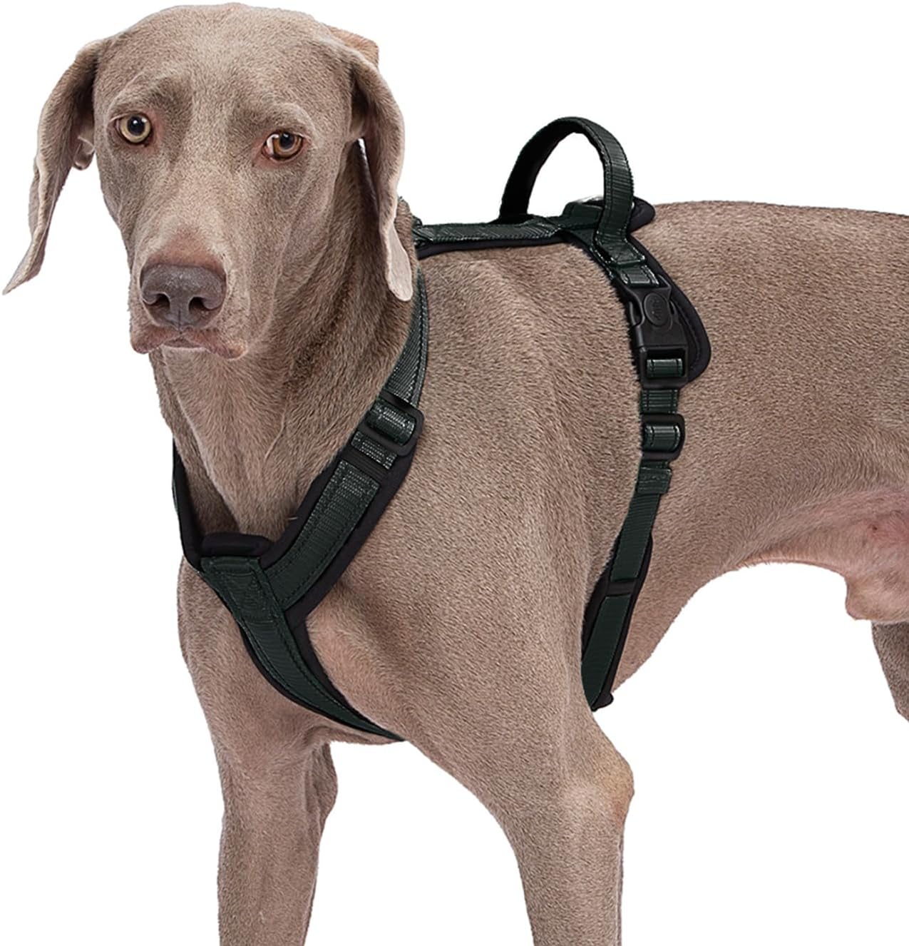 Dog Harness with Security Lock Buckle for Small Medium Large Dogs, Adjustable Dog Cooling Vest, Reflective No Pull No Choke Harness for Trail Running, Walking, Hiking, Camping