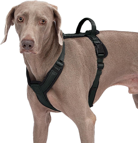 Dog Harness with Security Lock Buckle for Small Medium Large Dogs, Adjustable Dog Cooling Vest, Reflective No Pull No Choke Harness for Trail Running, Walking, Hiking, Camping