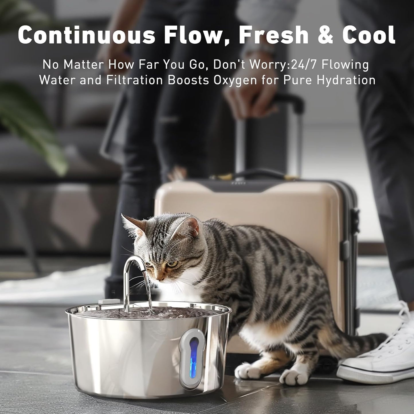 Stainless Steel Cat Water Fountain, 135oz/4L Automatic Pet Fountain Dog Water Dispenser with Ultra-Quiet Pump & 2 Replacement Filters & for Cats Inside, Dogs, Multiple Pets