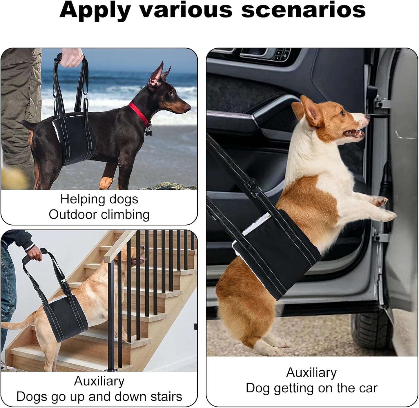 LARGE DOG HIND LEG SUPPORT SLING - Adjustable Dog Lift Harness for Senior, Injured, or Post-ACL Surgery Rehabilitation (Small)