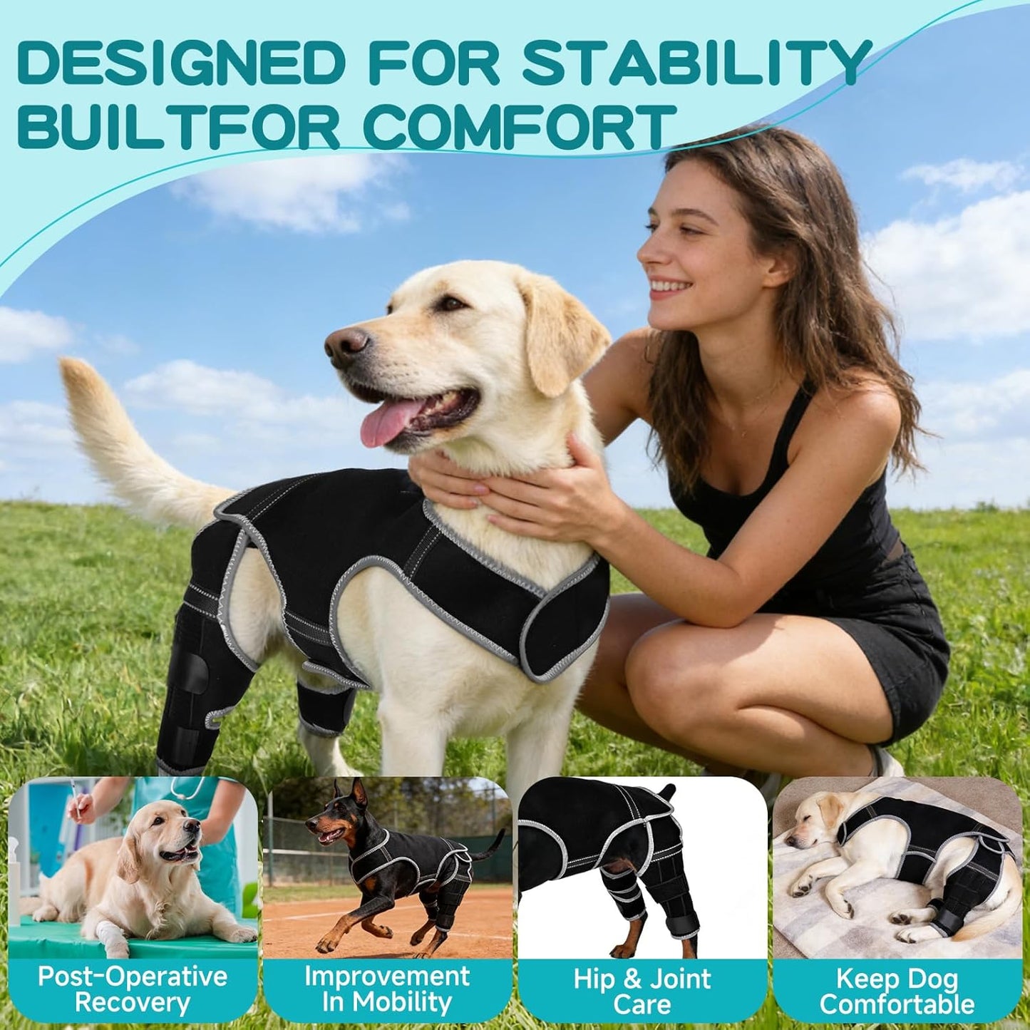 Dog Leg Braces for Torn ACL Hind Leg, Adjustable Dog Knee Brace with 4 Stabilizers, for Dogs with Torn ACL/CCL, Luxating Patella, Ligament Issues & Hip Dysplasia, Small to Large Dogs (M)