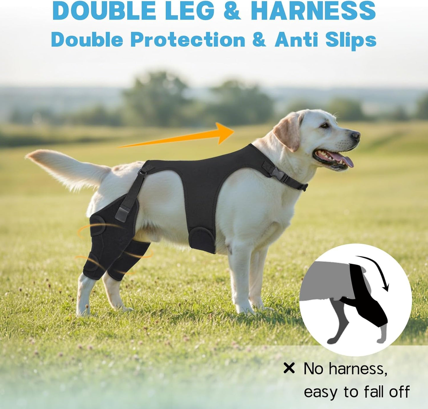 Dog Knee Braces for Back Leg, Adjustable Leg Brace with 2 Stabilizers, Hip Support to Reduces Pain, Ligament Injuries, ACL CCL & Luxating Patella for Small Medium Large Dogs, XL-L