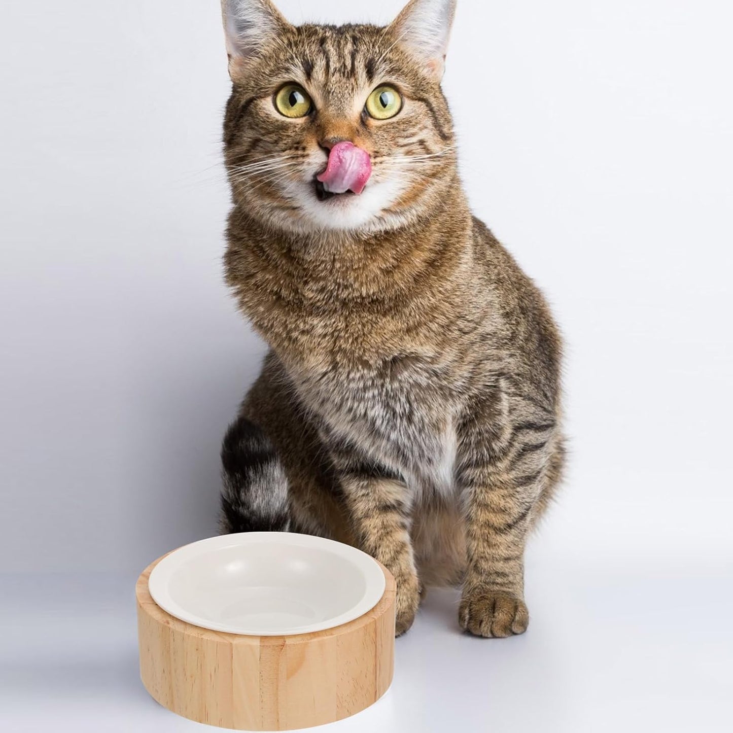 Milisten Elevated Ceramic Kitten Bowl with Wooden Stand, Raised Cat Food Dish for Spine Protection, Anti-tip Pet Feeder for Indoor Cats and Kittens