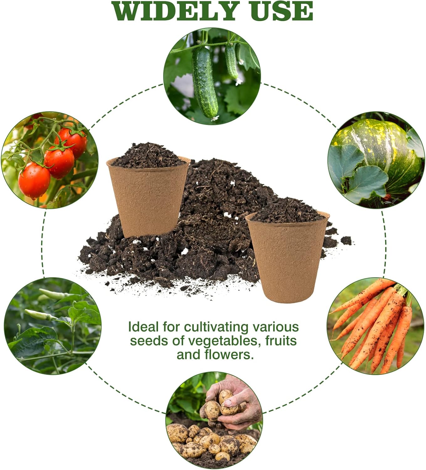40Pcs 3.15 Inch Peat Pots, Biodegradable Eco-Friendly Round Plant Seedling Starters Kit, Seed Germination Trays with 10 Labels for Flower Vegetable Tomato Saplings & Herb Germination, Khaki
