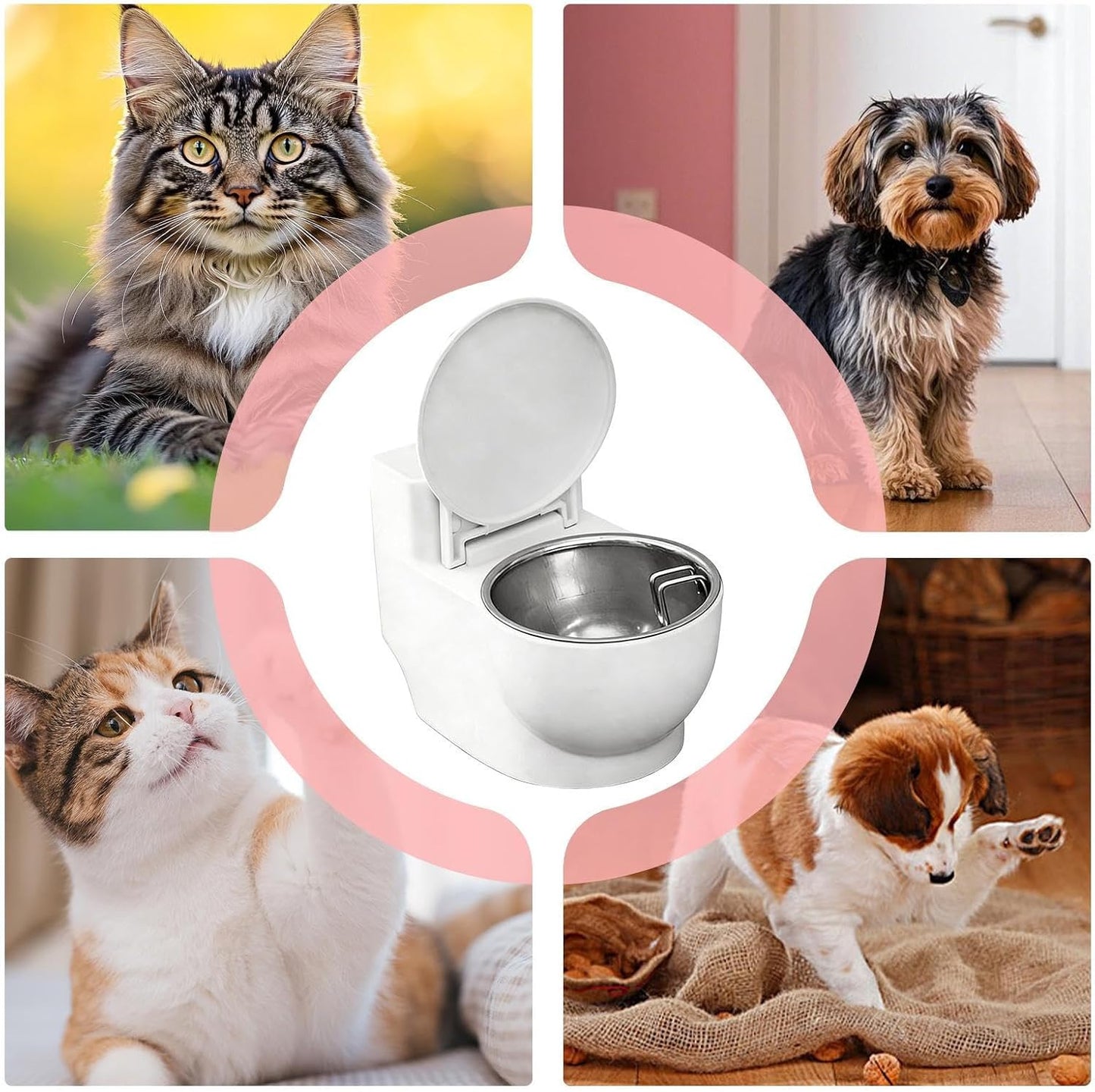 Cat Water Bowl - Anti Spill Detachable Dish, Toilet Shaped Pet Feeder, Fountain, Novelty Animal Station, Supplies, White Automatic Dispenser for Pets Kittens Puppies Dogs Home