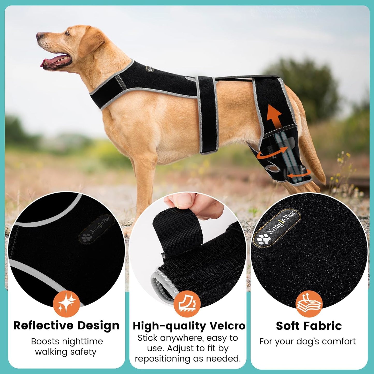 Adjustable Dog Knee Brace for Hind Leg - Double Leg Orthopedic Support with 4 Metal Stabilizers, Vest Design Dog Leg Brace for ACL/CCL Tear, Luxating Patella, Arthritis & Post-Surgery Rehab (L)