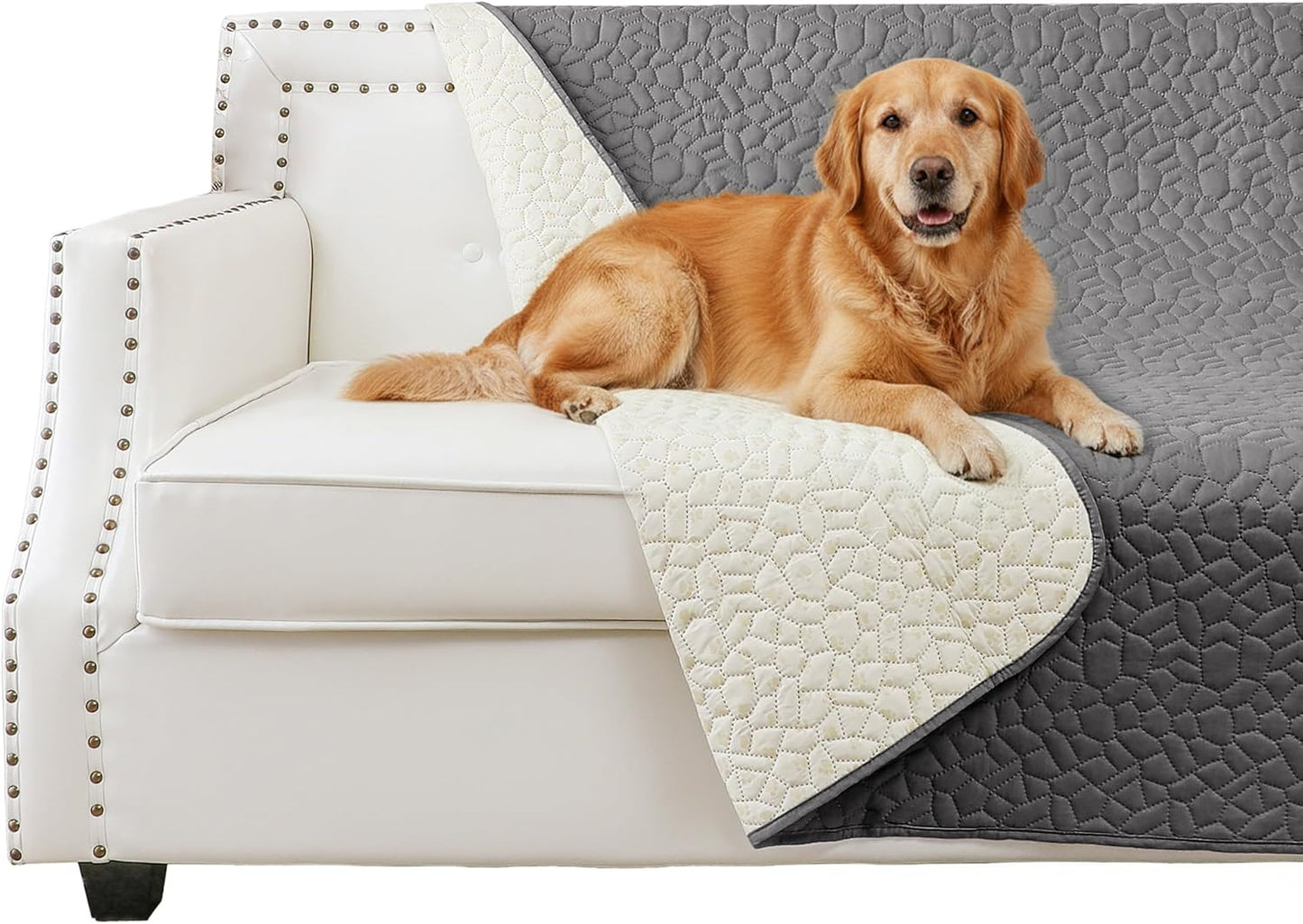 Waterproof Dog Blanket, Anti-Slip Pet Couch Sofa Cover Washable Bed Furniture Protector for Hair Resistant-52x82,Darkgrey