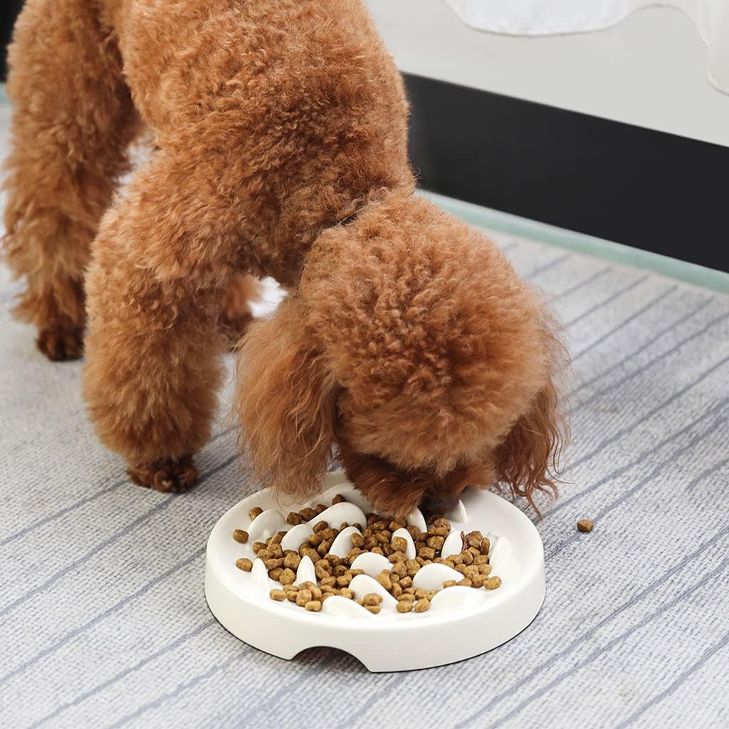 for Slow Eating Non Slip Dog Puzzle Bowl Feeder Dish Pet Bowls with Fish Pattern