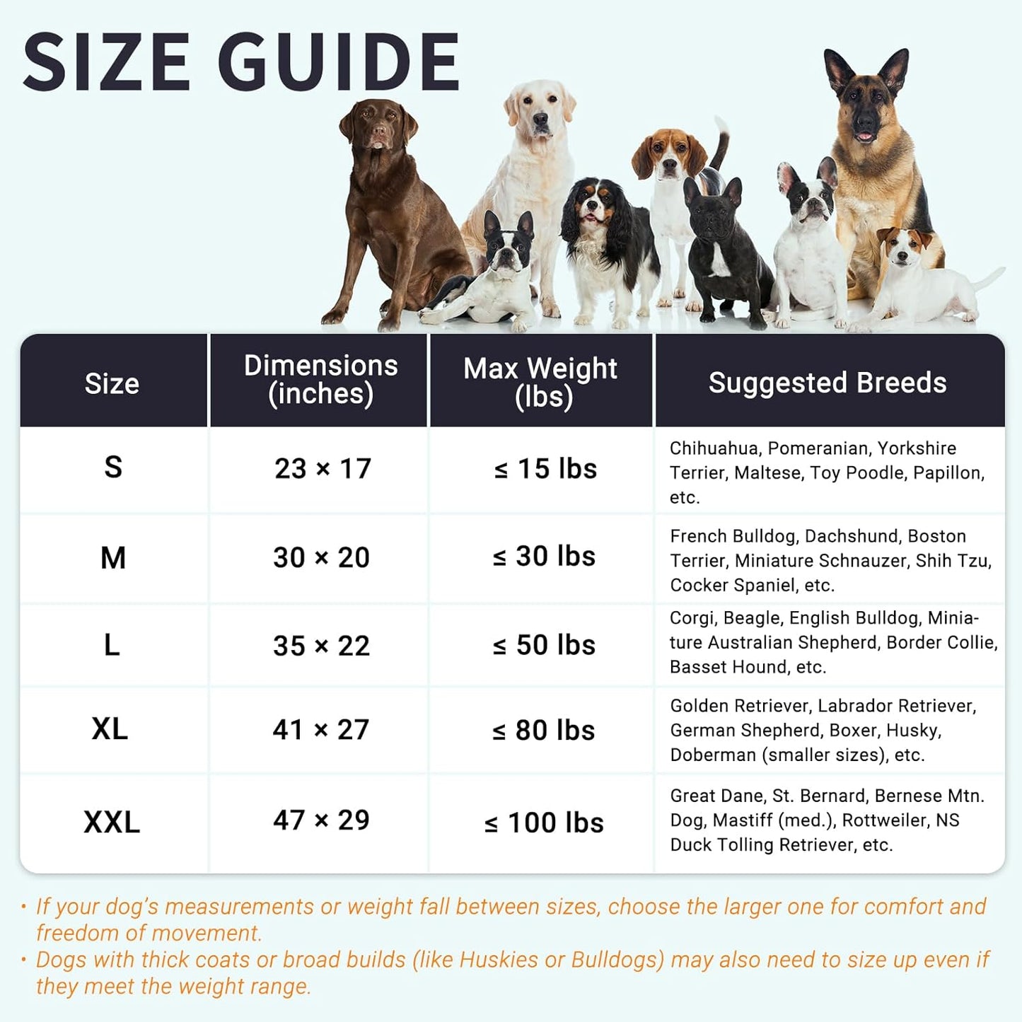 Cozy Dog Beds for Small Dogs - Orthopedic Egg Crate Foam Pet Bed with Removable/Washable/Waterproof Cover & Non-Slip Bottom, Ideal for Crate and Indoor Use, 23x17 Inch, up to 15 lbs, Dark Grey