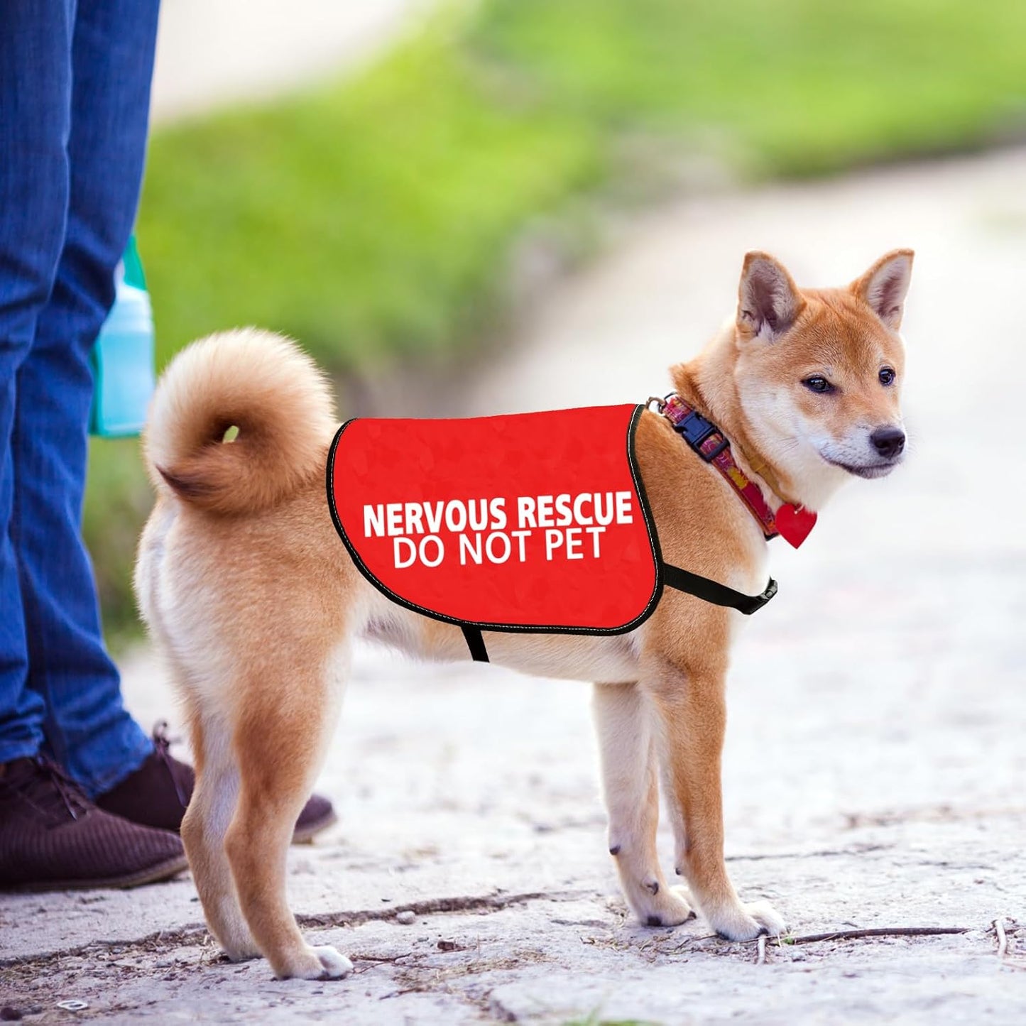 JXGZSO Nervous Rescue Dog Jacket Vest Nervous Rescue Do Not Pet Dog Vest Dog Walking Slogan Warning Vest (Nervous Pet L)