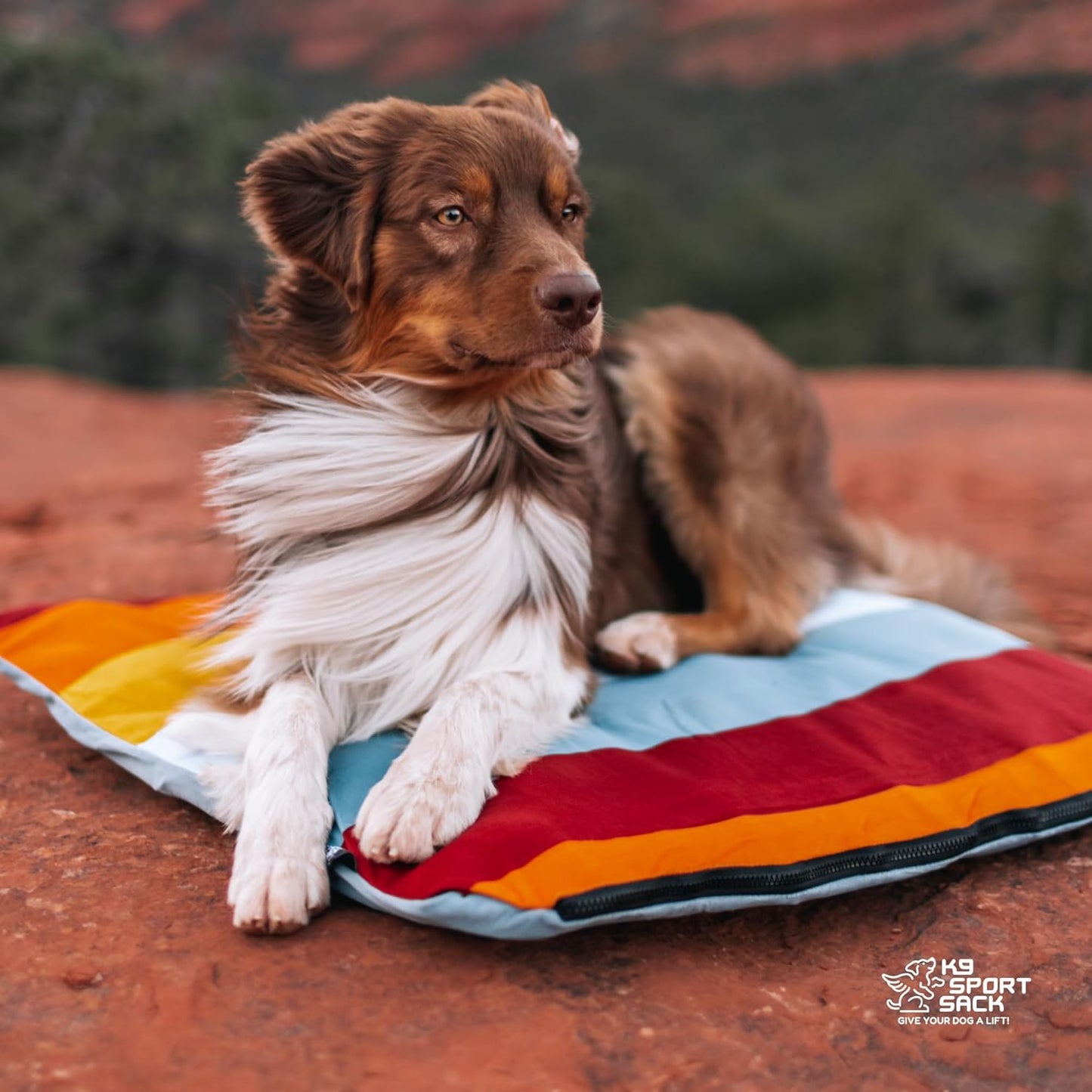 K9 Sport Sack Sleeper with Multicolor Slip Cover - Large/Extra Large (3” x 28” x 28”) - Inflatable Dog Bed with Carrying Case - Lightweight, Durable Design Ideal for Travel