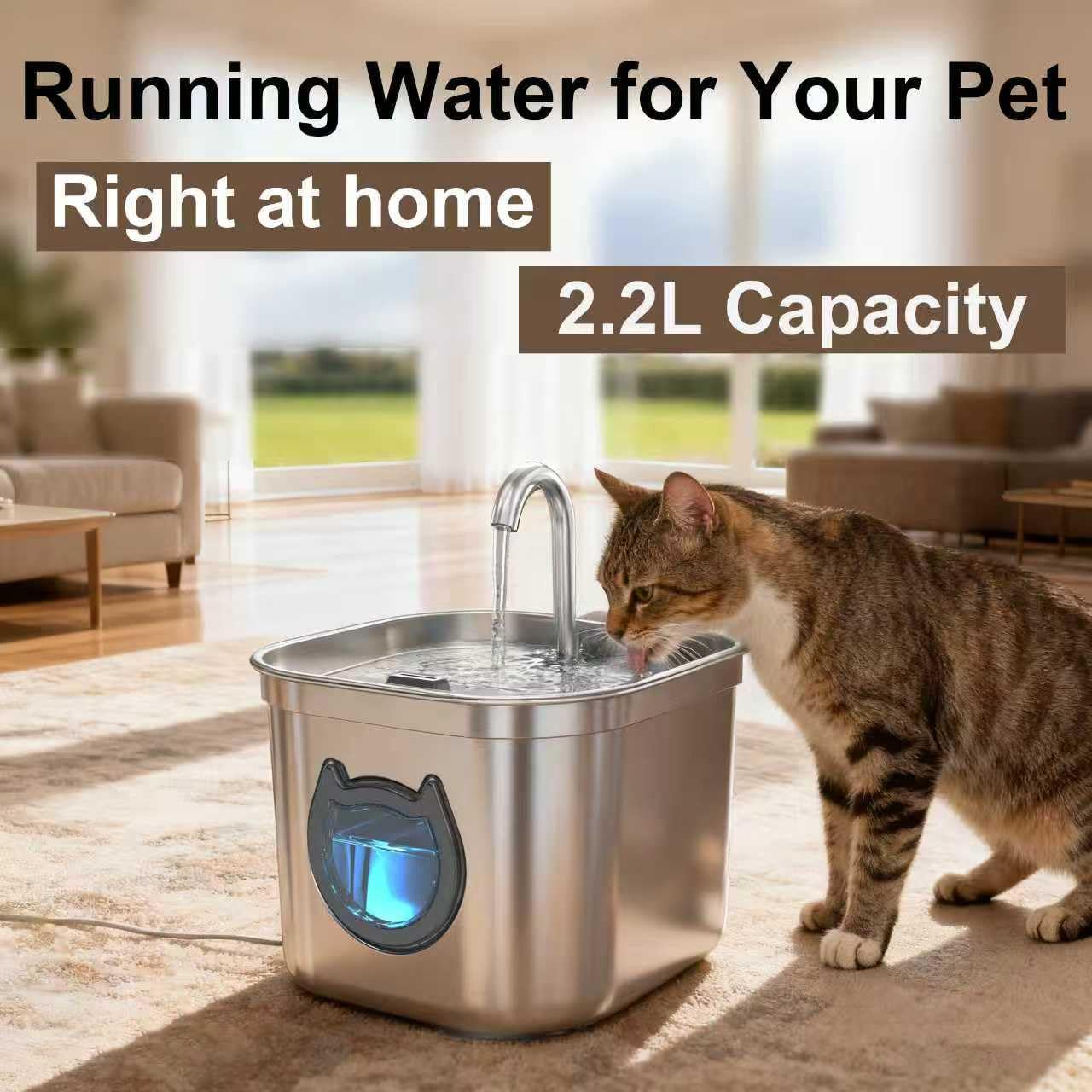 Luxury Automatic Cat Water Fountain for Pets, 2.2L/74oz Stainless Steel Dog Water Dispenser with Filter, BPA Free & Silent, Featuring LED Light, Easy Clean & Cat View Window Black