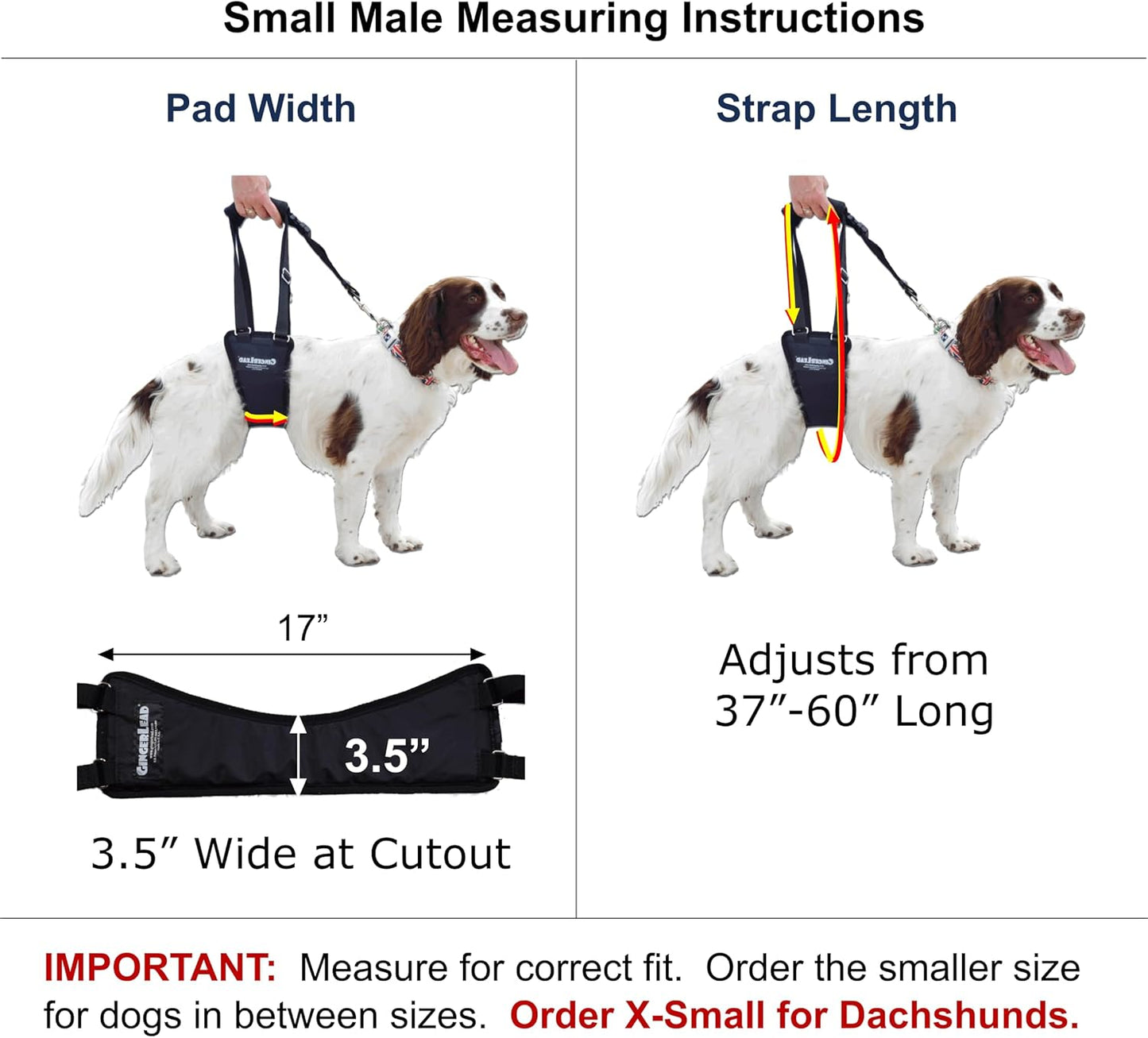 GINGERLEAD Dog Sling Hip Support Harness, SM Male fits Small to Medium Size Pets or Larger Barrel Chested Dogs Like Boxers or Bullies. Male Dachshunds use X-Small Size. Made in U.S.A.