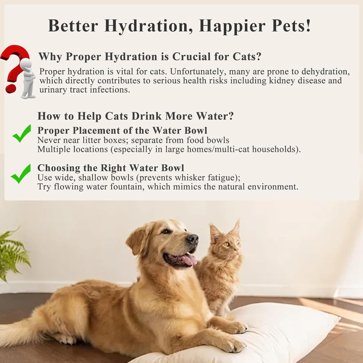 Cat Water Fountain Filters, 12 Pack Replacement Filters & 12 Pack Replacement Sponges Set for 3.2L/ 108oz Automatic Pet Fountain Dog Water Dispenser