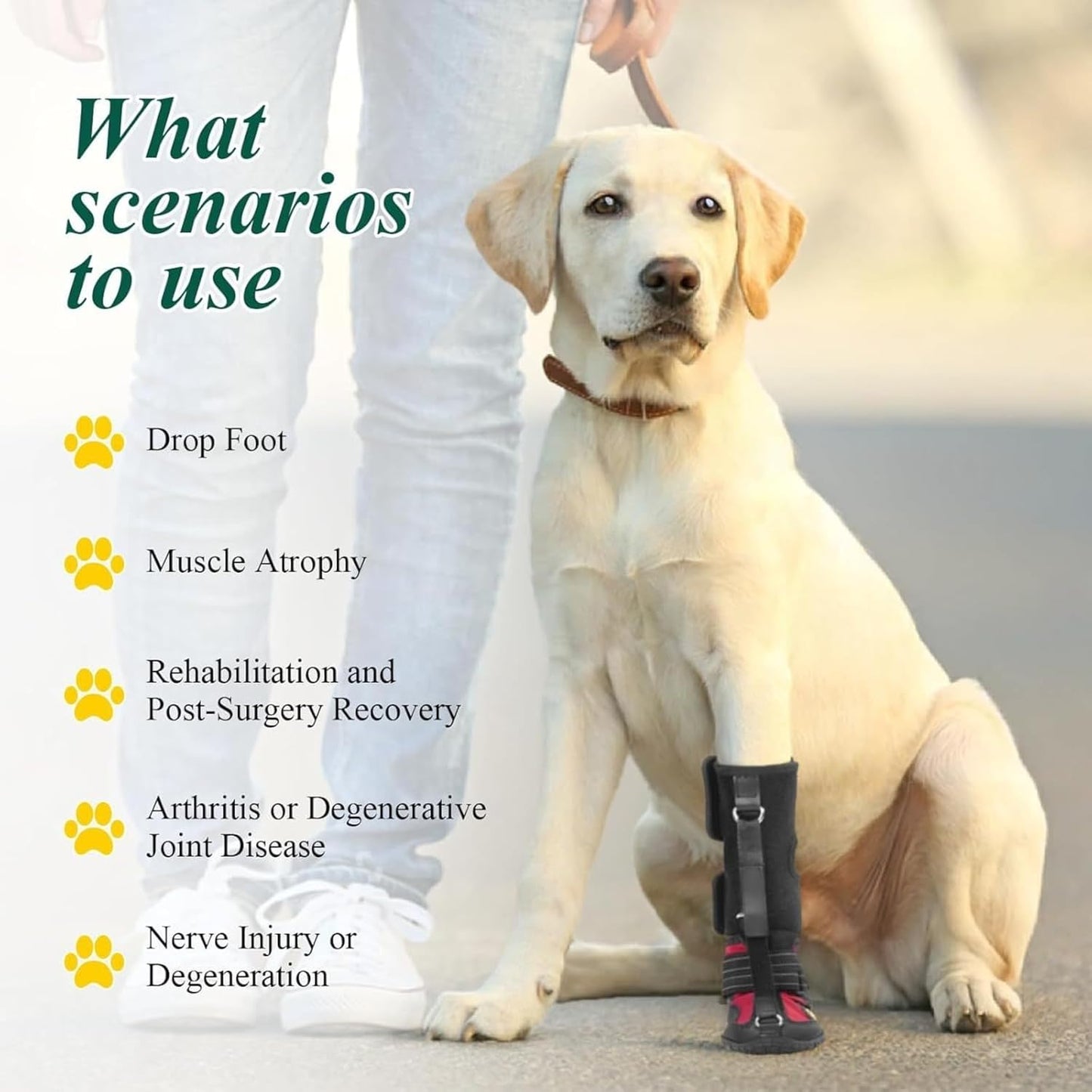 Dog Booties for Winter and Paw Protectors, Dog Brace for Acl Tear, Lift Toes for Foot Issues and Arthritis, Pet Corrector for Dogs (XL)