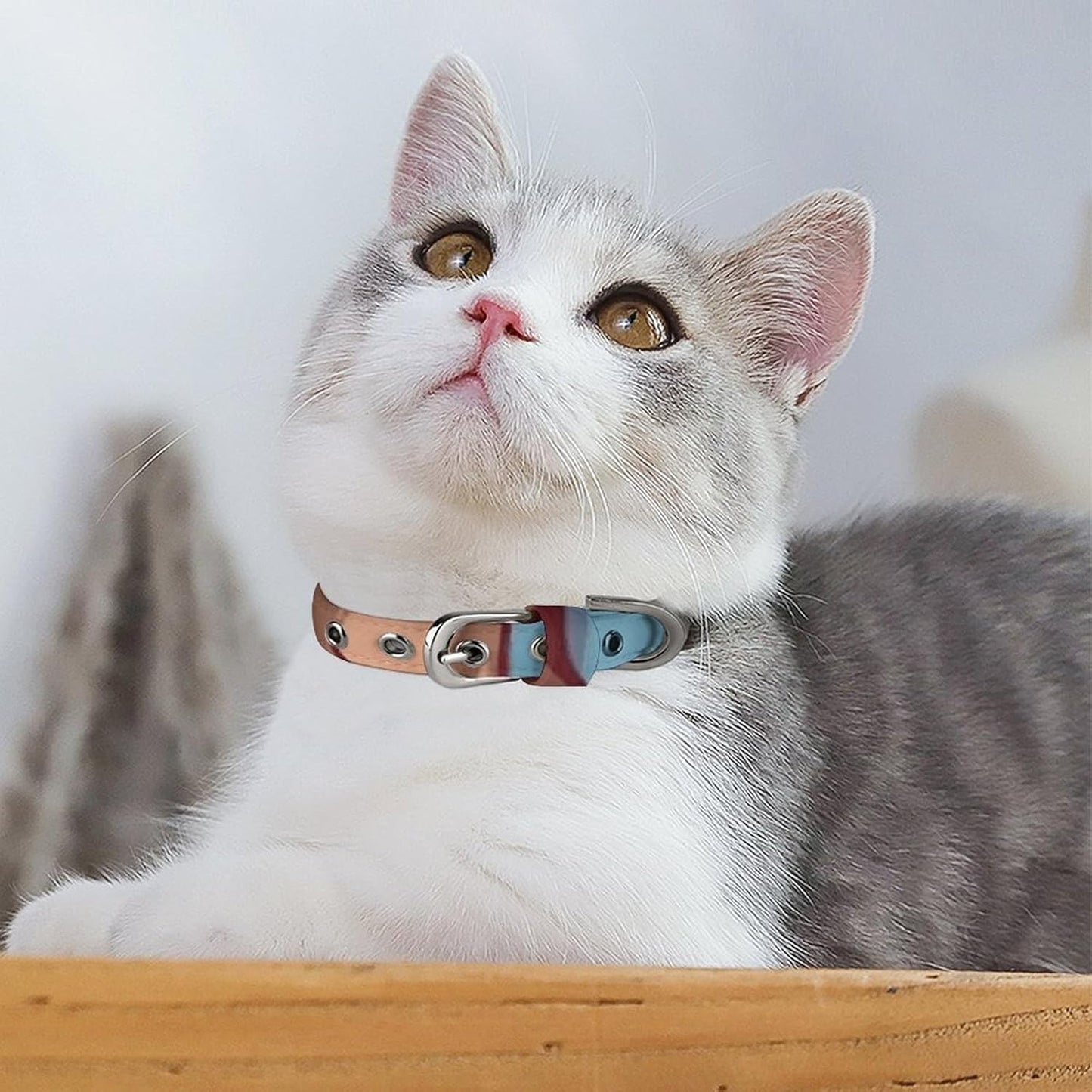 Animal Cute Brown Otters Dog Collar with Buckle Adjustable Martingale Pet Collars Cute Female Male Puppy Collar Soft Waterproof Cat Collars for Small Medium Dogs