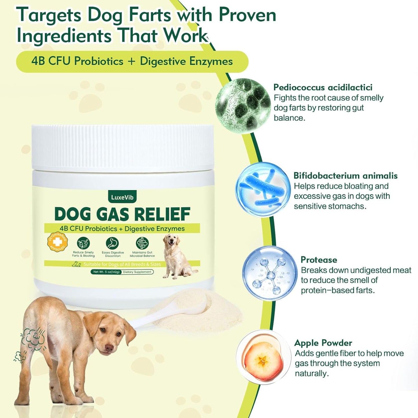 Dog Gas Relief, Relief Smelly Farts with 4B CFU Pediococcus Acidilactici Probiotics, Digestive Enzymes, Dog Fart Remedy to Help Gas & Bloating, Dogs Farts Relief, Dogs Gut Health Digestive Support