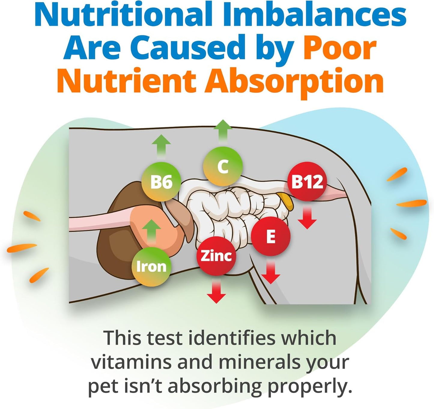 5Strands Pet Nutritional Imbalance Test, 112 Vitamins & Minerals Tested, at Home Dog & Cat Health Check for All Ages & Breeds, Nutrition Deficiency Test, Results in 4 Days
