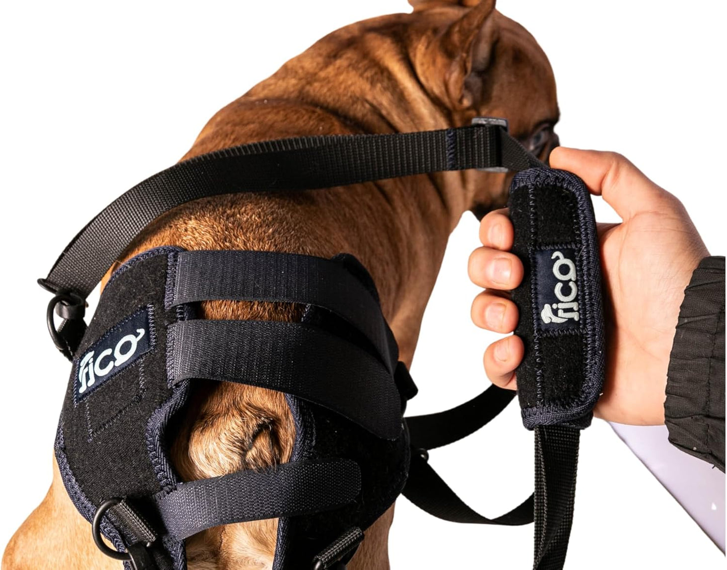 Dog Hip Dysplasia Brace, Adjustable Rear Hip Support for Dogs for Pain Relief, Leg Weakness & Arthritis, Vet Recommended, Targeted Compression, Comfortable Neoprene Harness (X Small)