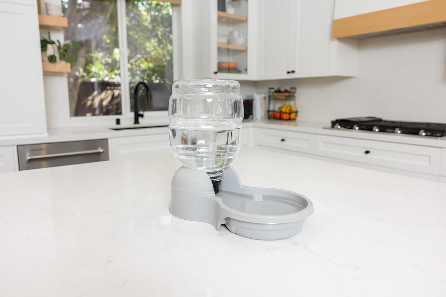 Petmate Aspen Pet Aspen Pet Lebistro Cat and Dog Water Dispenser, Made in USA, 6.75"L x 11.4"W x 11.9"H, 1 Gallon