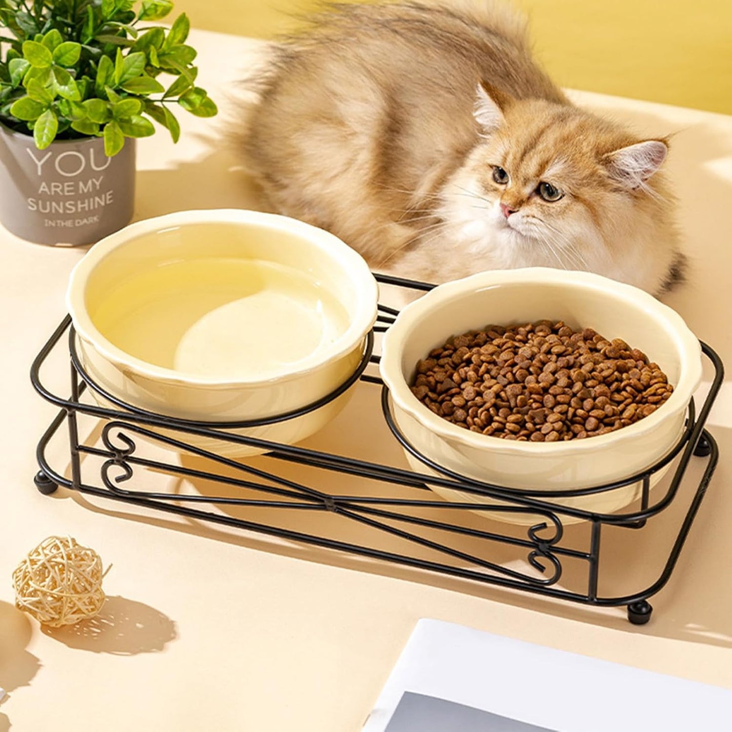 Washable Dog Bowl - Reusable Slow Feeder, Pet Feeder with Sturdy Stand, Puppy Bowls with Wide Mouth Design, Pet Feeding Station Accessories, Feline Bowl for Home Indoor Outdoor Use