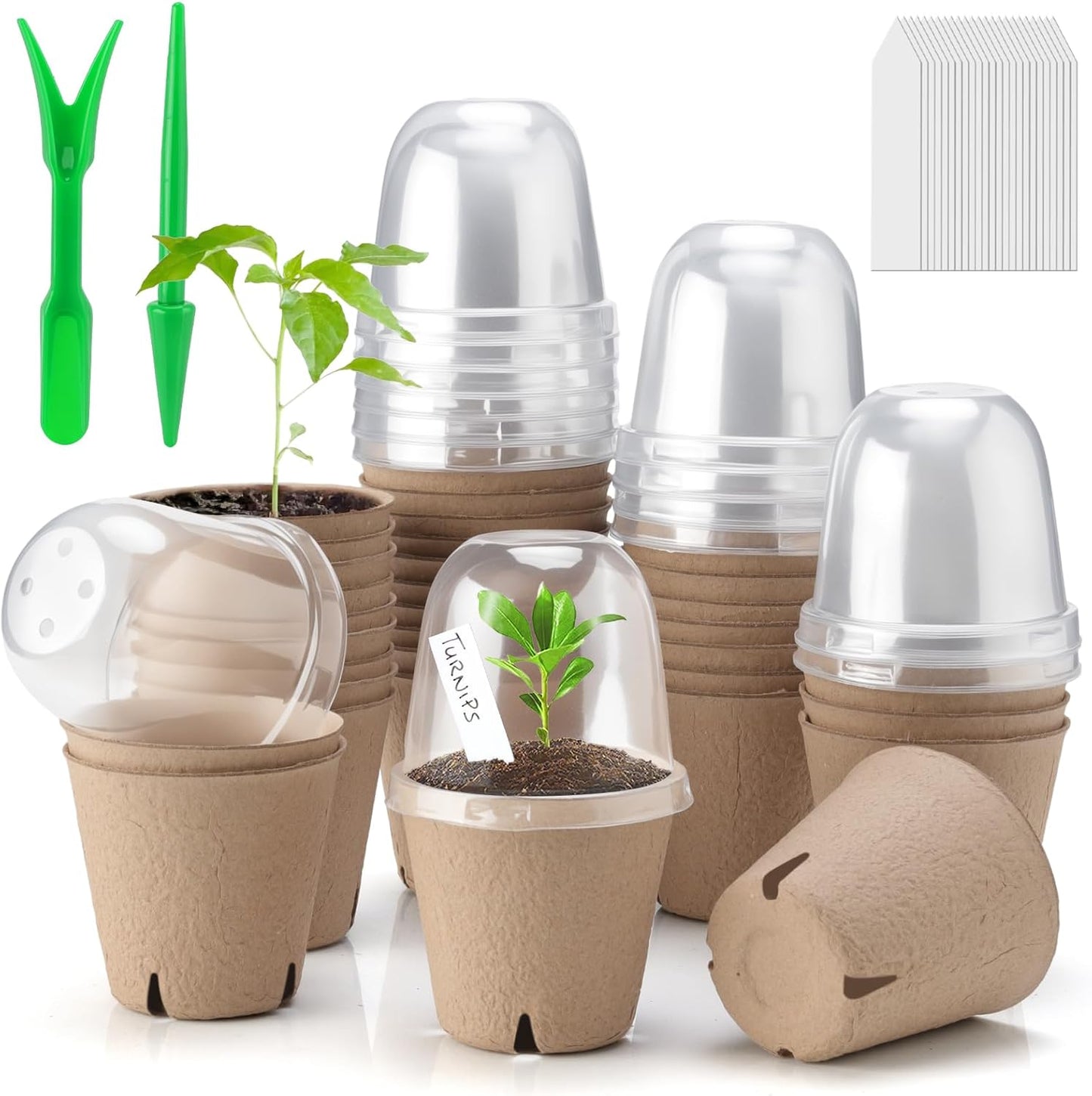 36 Set 3.15 Inch Peat Pots Plant Starters for Seedling with Humidity Dome,Herb Seed Starter Pots Kits, Garden Germination Nursery Pot wit 36 Plant Labels, 2 Transplant Tools.