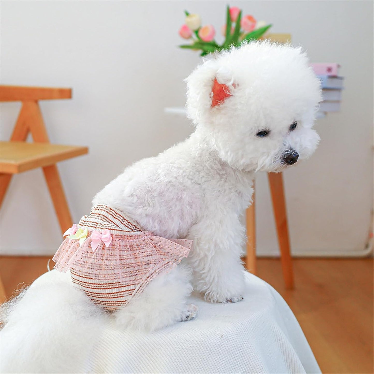 Washable Female Dog Sanitary Pants Physiological Diaper Shorts for Small Breeds to Keep Bedding and Hygienic Dog Diapers Pants