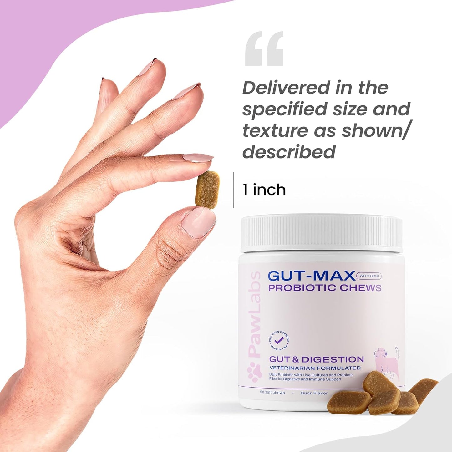 PAWLABS Gut Max Probiotic Chews - Natural, Vet Formulated Digestive & Immune Support - Relieves Diarrhea, Constipation - with Patented BC30™ Bacillus Coagulans - Duck Flavor - 90 Soft Chews