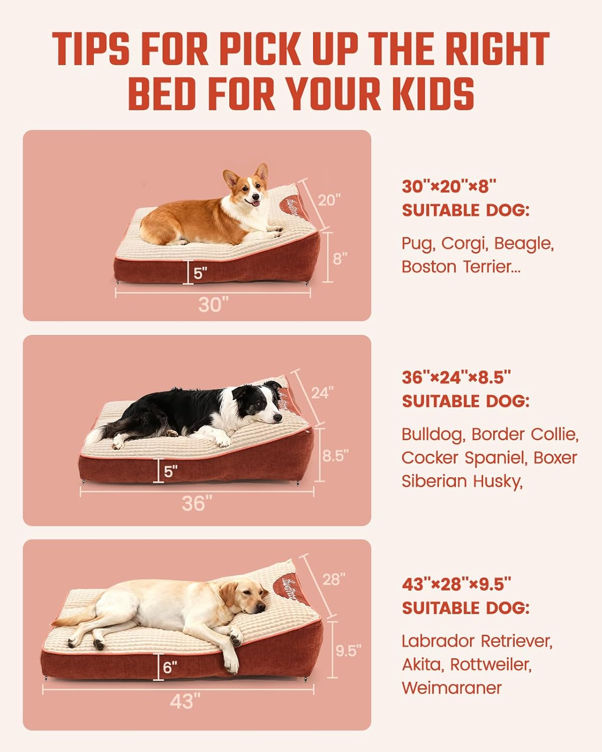 Dog Beds Large Sized Dog - Comfy Flat Pet Beds with Removable Washable Cover, Orthopedic Foam Puppy Mat with Pillow Suitable for Pet Up to 65 lbs(36''×24''×5'')