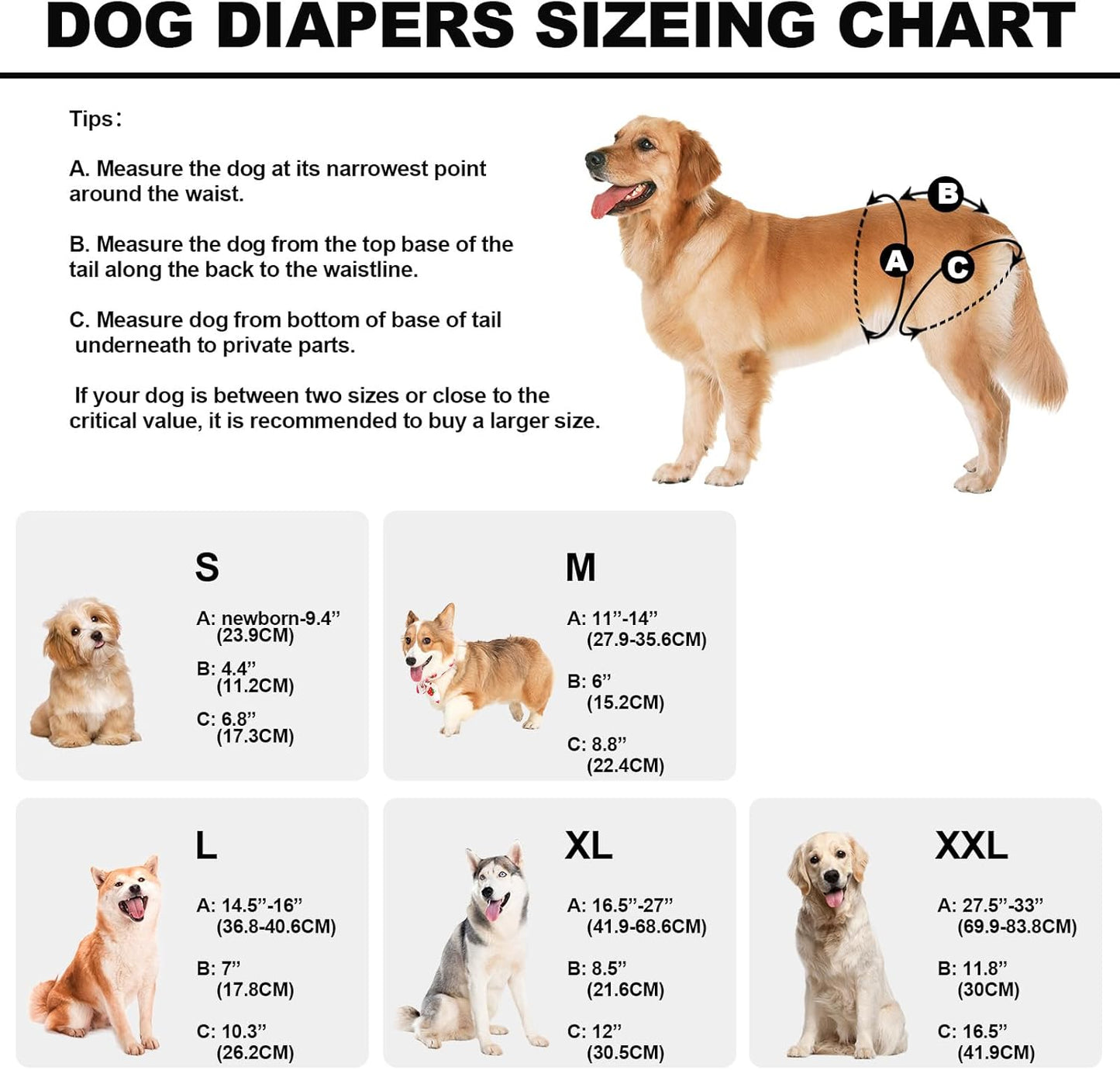 Reusable Dog Diapers Female Washable, Premium Doggie Diaper for Dogs, Pack of 3, Highly Absorbent Small Dog Diaper for Heat, Incontinence and Puppy Training(S)