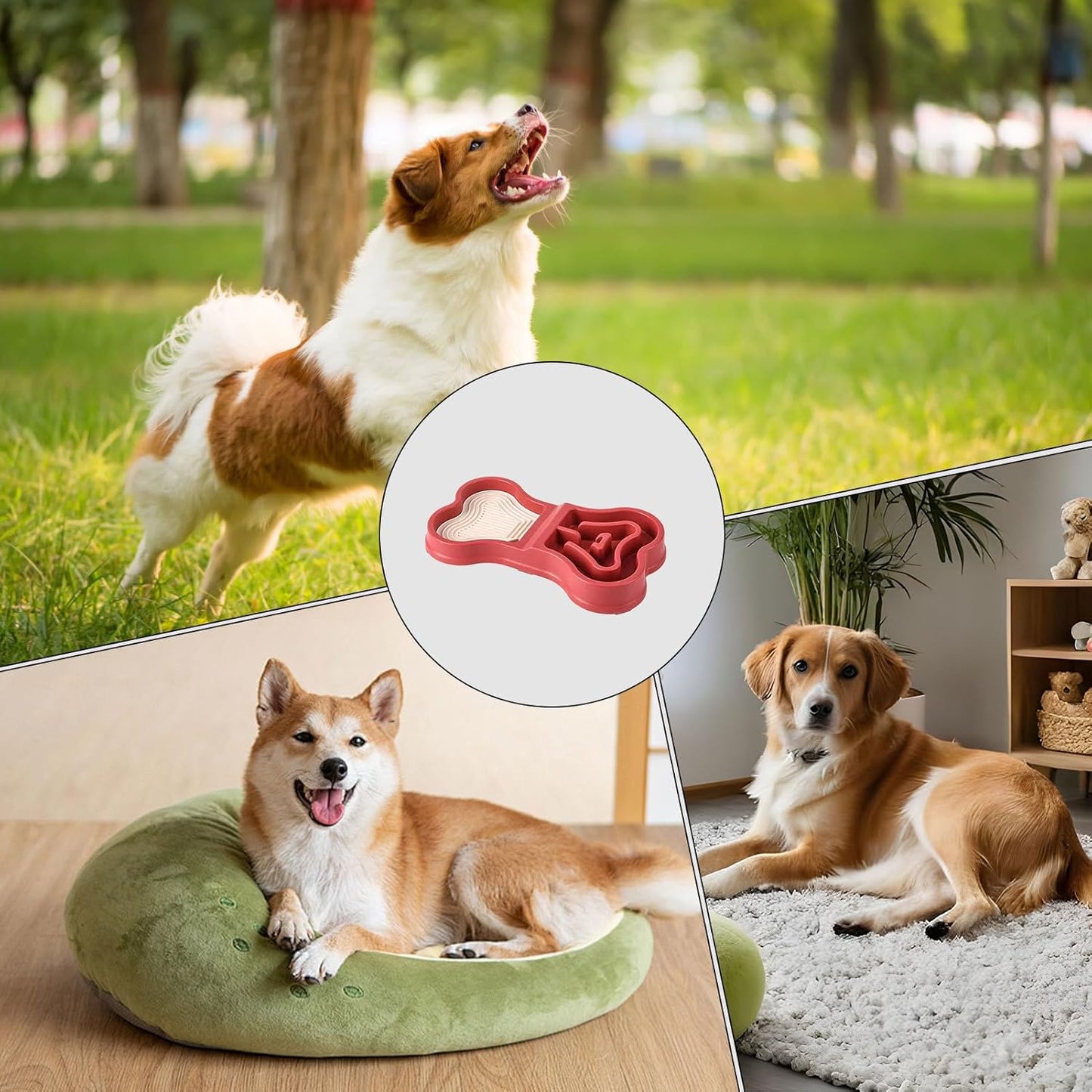 Dog Food Bowls - Puppy Feeder, Gentle Puzzle, Feeding Supplies with Durable Feature, Portable Dish with Practical Detail, Bowl, Pet Home Travel Indoor Outdoor for Training Eating