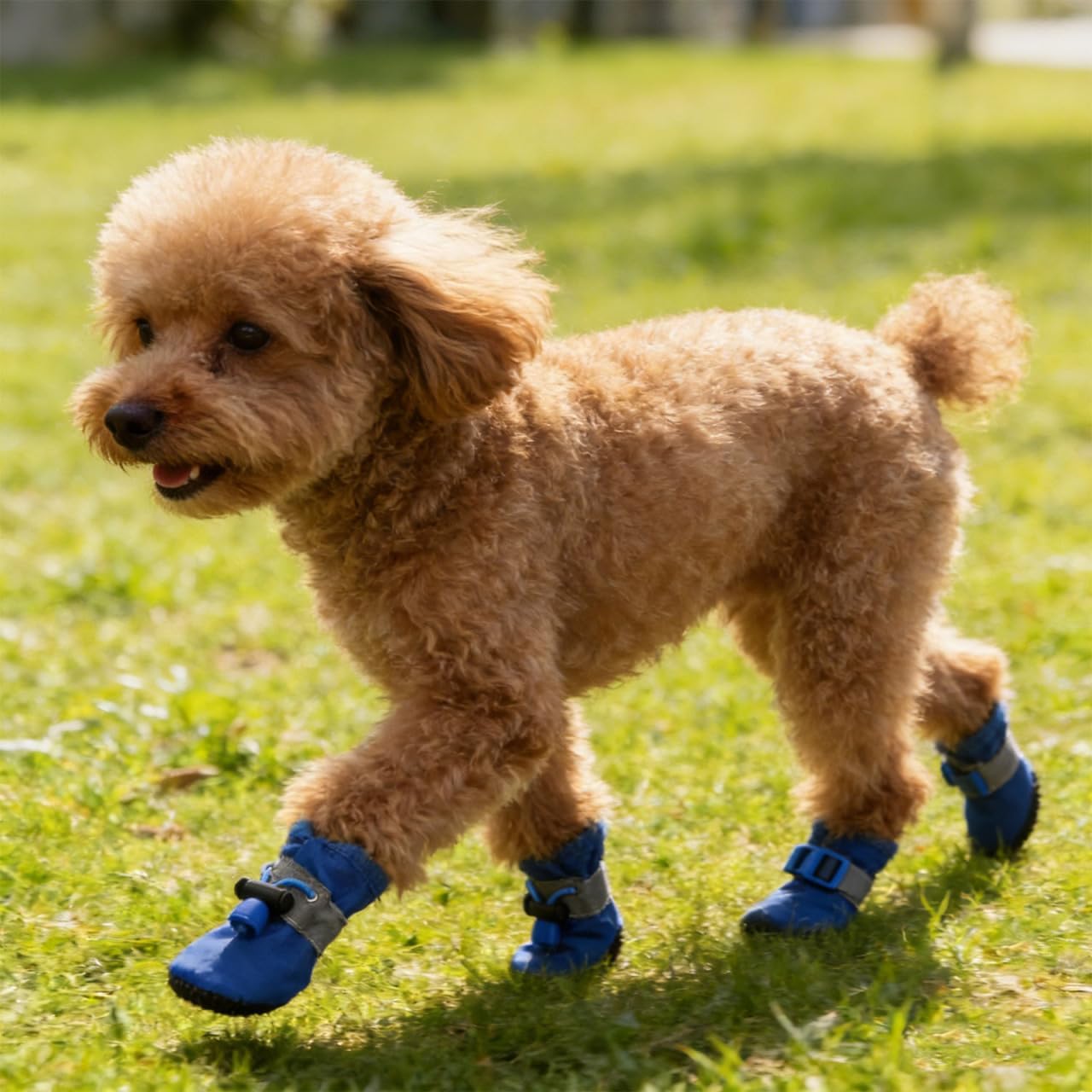 4pcs Dog Boots All Seasons Pet Booties Dogs Pet Dog paw Protector for Dogs Size XS (Blue)