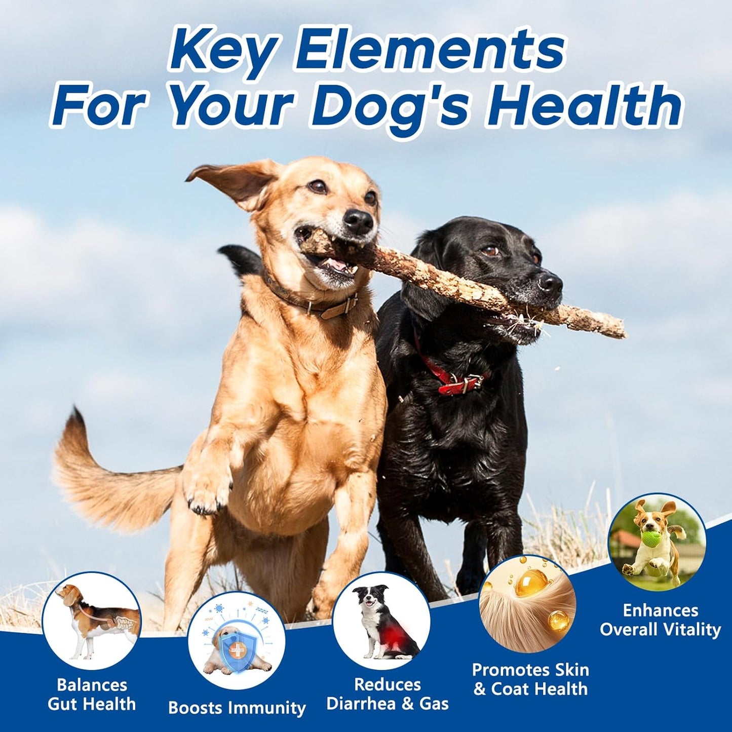 Probiotics for Dogs Dog Probiotic Chews for Yeast Gut Digestive & Immune Health, Itch Relief Ears Skin & Coat with 11Billion CFU Probiotics, 6 Enzymes& 4 Prebiotics, Pumpkin, Omegas & Vitamins, 200ct