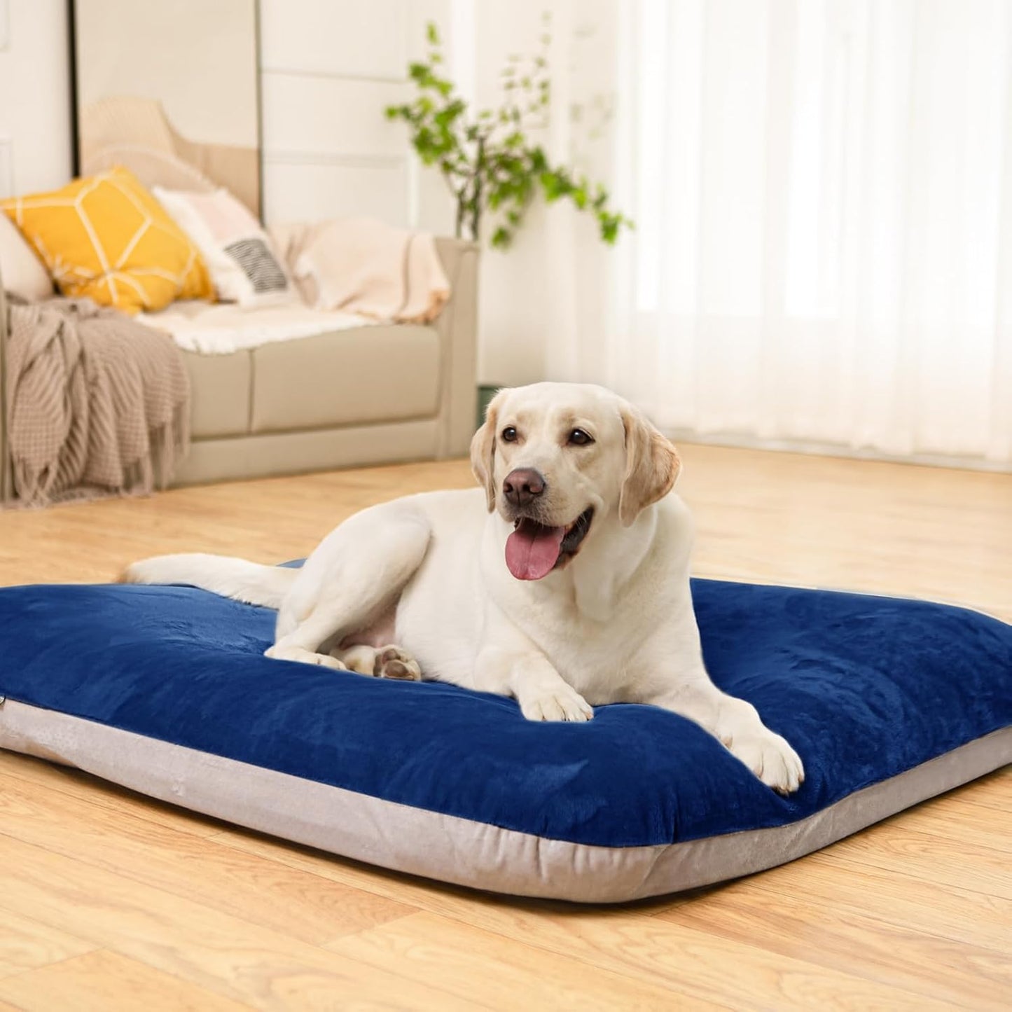 Magic Dog 매우 부드러운 중형견 침대, 81.3cm(32인치) 정형외과적 폼 반려동물 침대, 미끄럼 방지 바닥, 탈착식 및 세탁 가능한 커버가 있는 강아지 수면 매트리스, 블루 M, 81.3 x 61 x 7.6cm(32 x