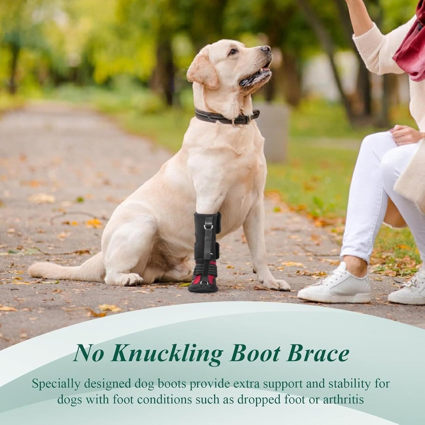 Dog Booties for Winter and Paw Protectors, Dog Brace for Acl Tear, Lift Toes for Foot Issues and Arthritis, Pet Corrector for Dogs (XL)