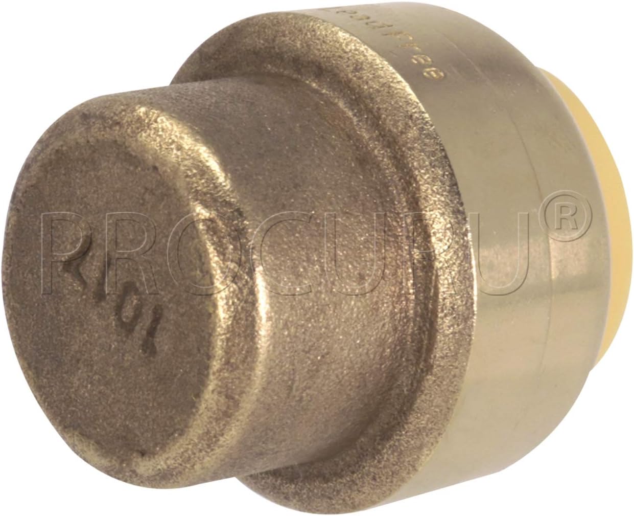 [10-Pack] PROCURU 3/4-Inch PushFit End Cap, Push-to-Connect Plumbing Brass Fitting for Copper, PEX, CPVC, PE-RT Pipe (8X3014-10P)
