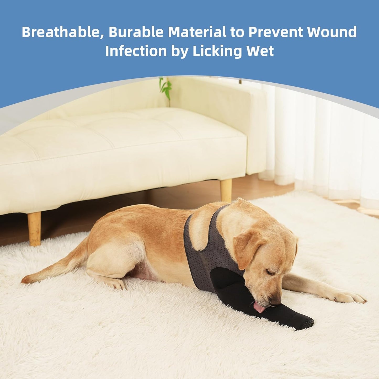 Dog Socks to Prevent Licking Paws ，Breathable Dog Leg Sleeve to Stop Licking and Biting， Firm and Secure Protect Wounds Dog Recovery Sleeve Socks(L-Left)