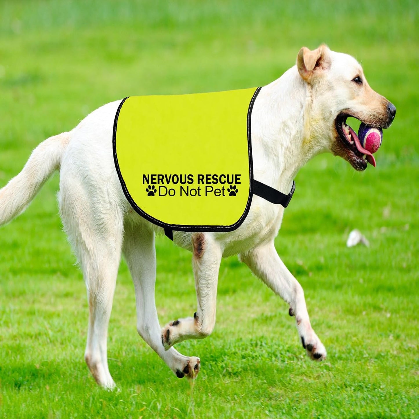 CENWA Nervous Ask to Pet/Do Not Approach Jacket - Space Dog Walking Slogan Warning Vest (Nervous Rescue Pet L)