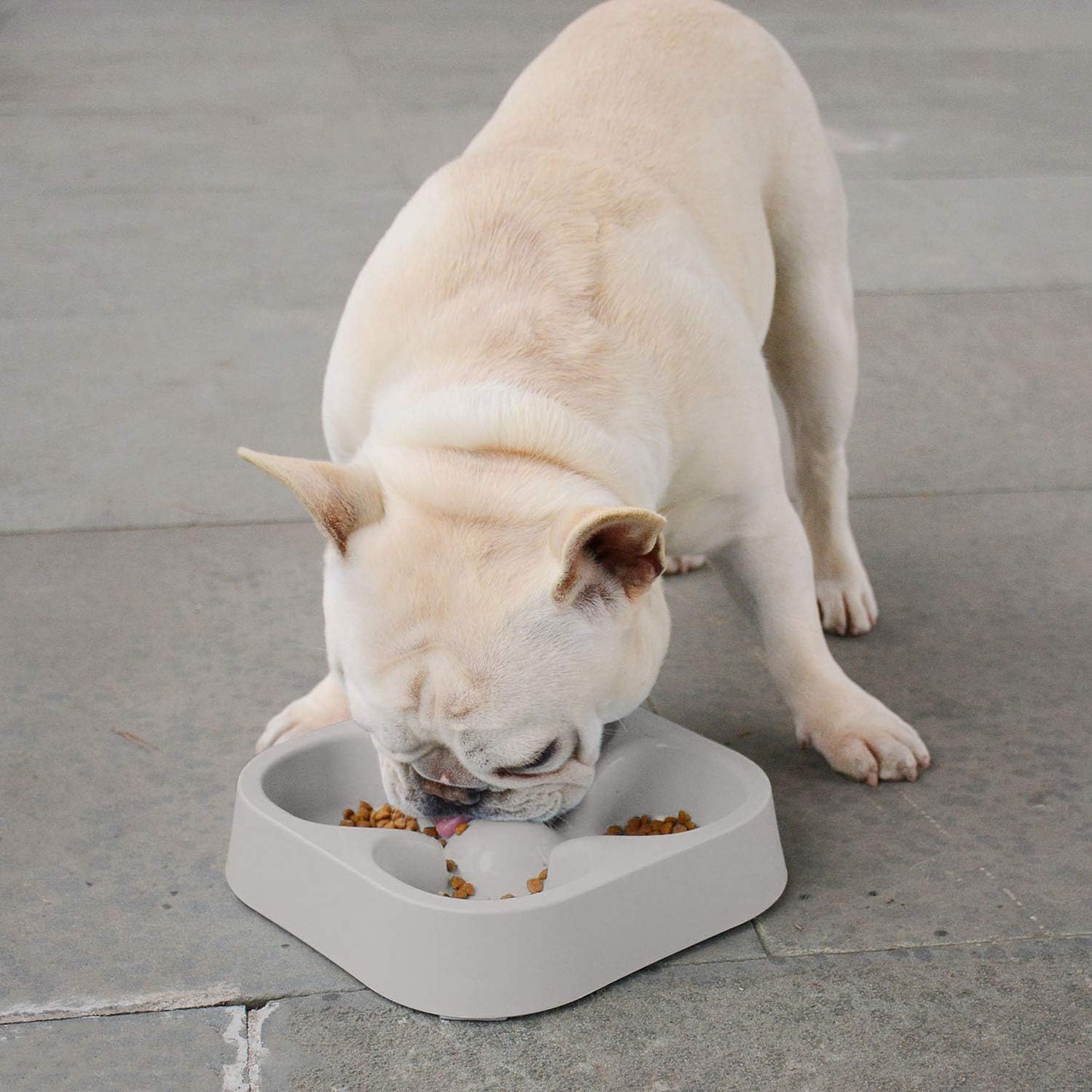 Healthy Slow Feeding Dog Bowl for French Bulldog -Slow Feeder Dog Bowl No Chocking Dog Cat Food Water Bowl with Four-Leaf Clover Pattern (Grey)