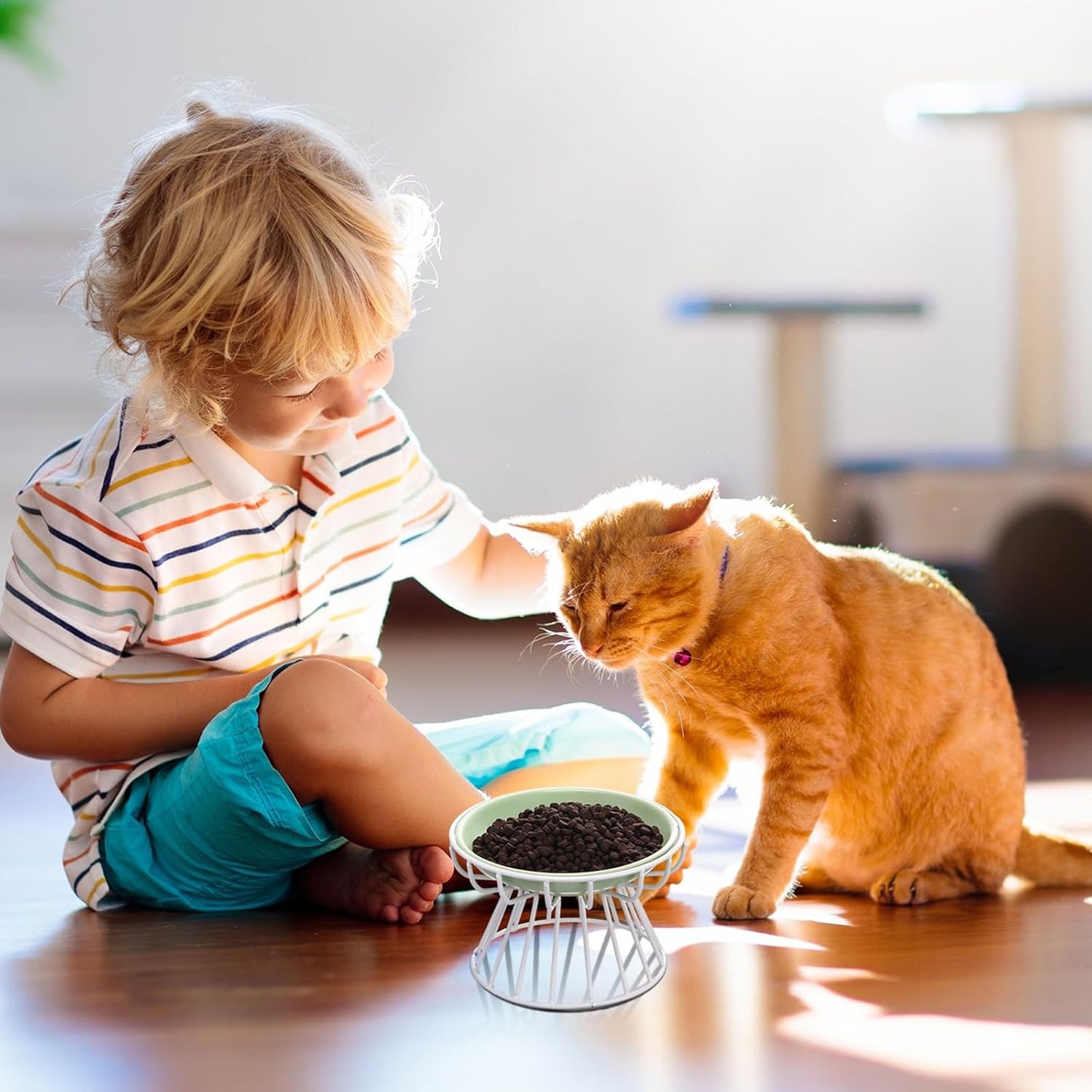 Hushee 6 Pcs Raised Cat Bowls Elevated Ceramic Cat Food Bowls with Metal Stand Anti Vomit Feeding Dishwasher Safe Shallow Ceramic Water Food Plate for Kitten Small Dogs