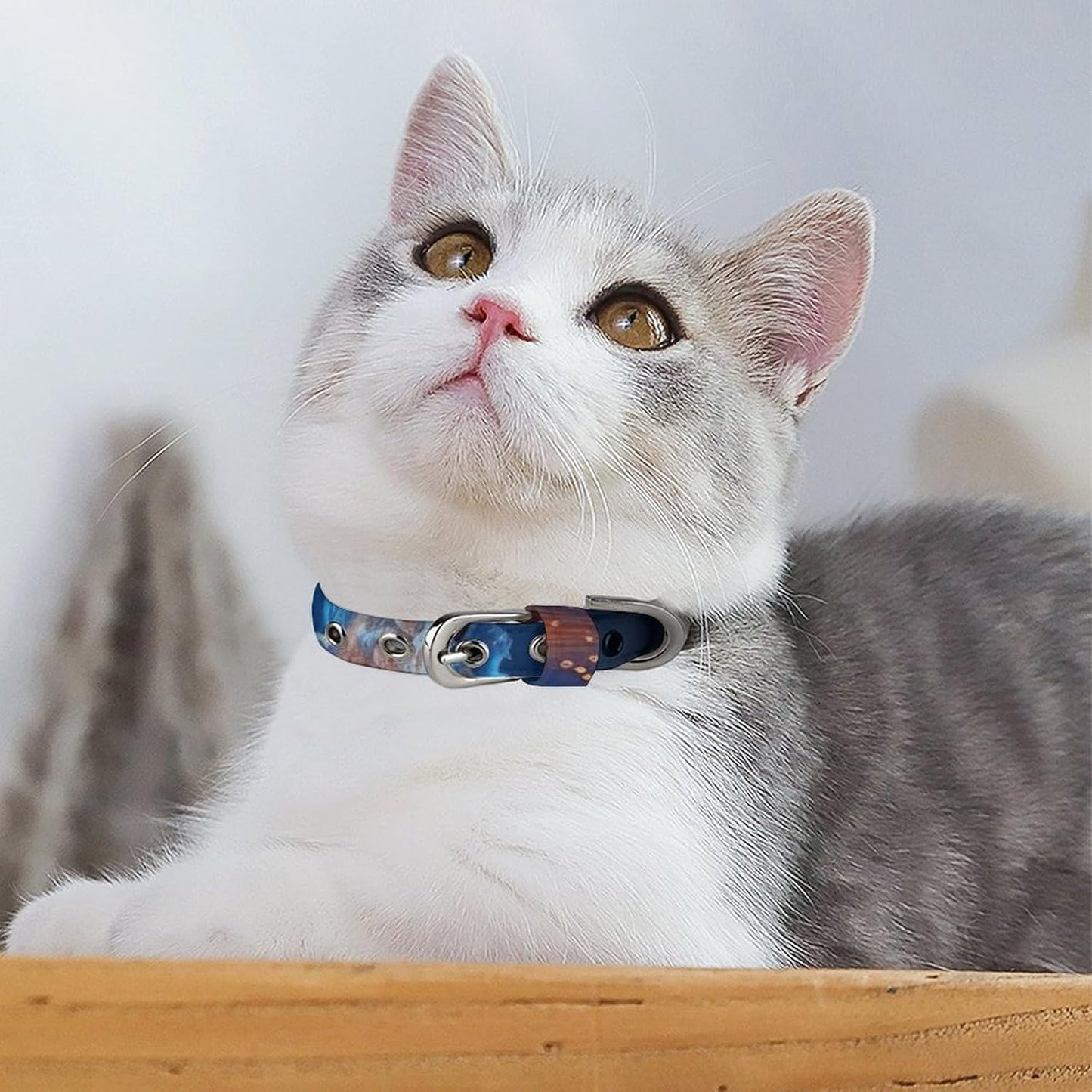 Fire and Water Heart Dog Collar with Buckle Adjustable Martingale Pet Collars Cute Female Male Puppy Collar Soft Waterproof Cat Collars for Small Medium Dogs