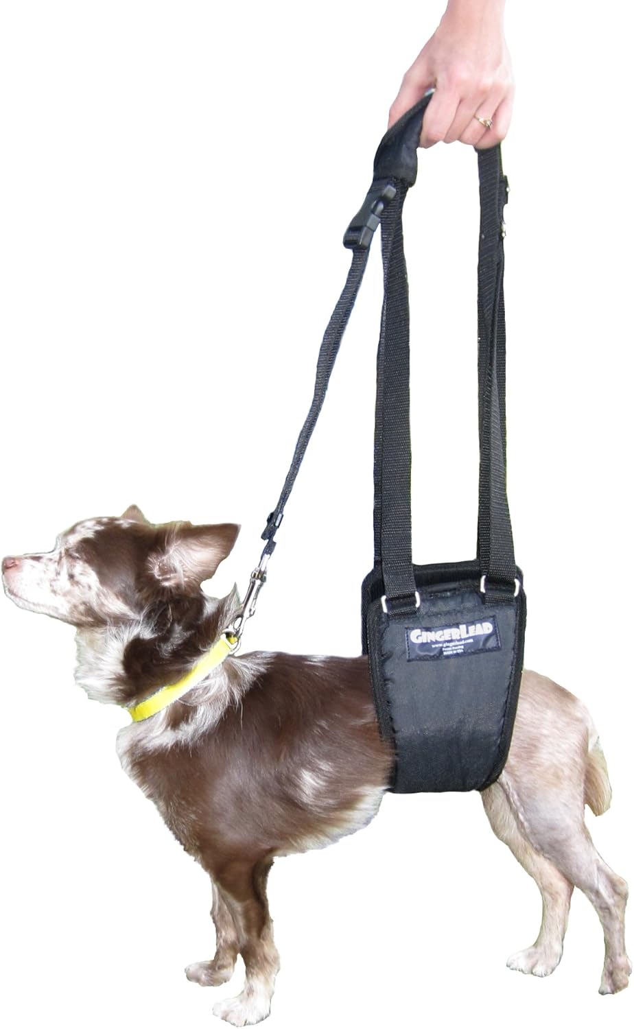 GINGERLEAD Dog Sling Hip Support Harness, SM Male fits Small to Medium Size Pets or Larger Barrel Chested Dogs Like Boxers or Bullies. Male Dachshunds use X-Small Size. Made in U.S.A.