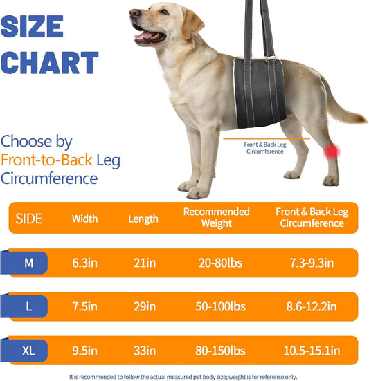Adjustable Dog Lift Harness, Hind Leg Support Sling for Weak Rear Legs, Soft Lift and Rehab Harness Helps Senior, Injured, Disabled and Post-ACL Surgery Dogs(XL)