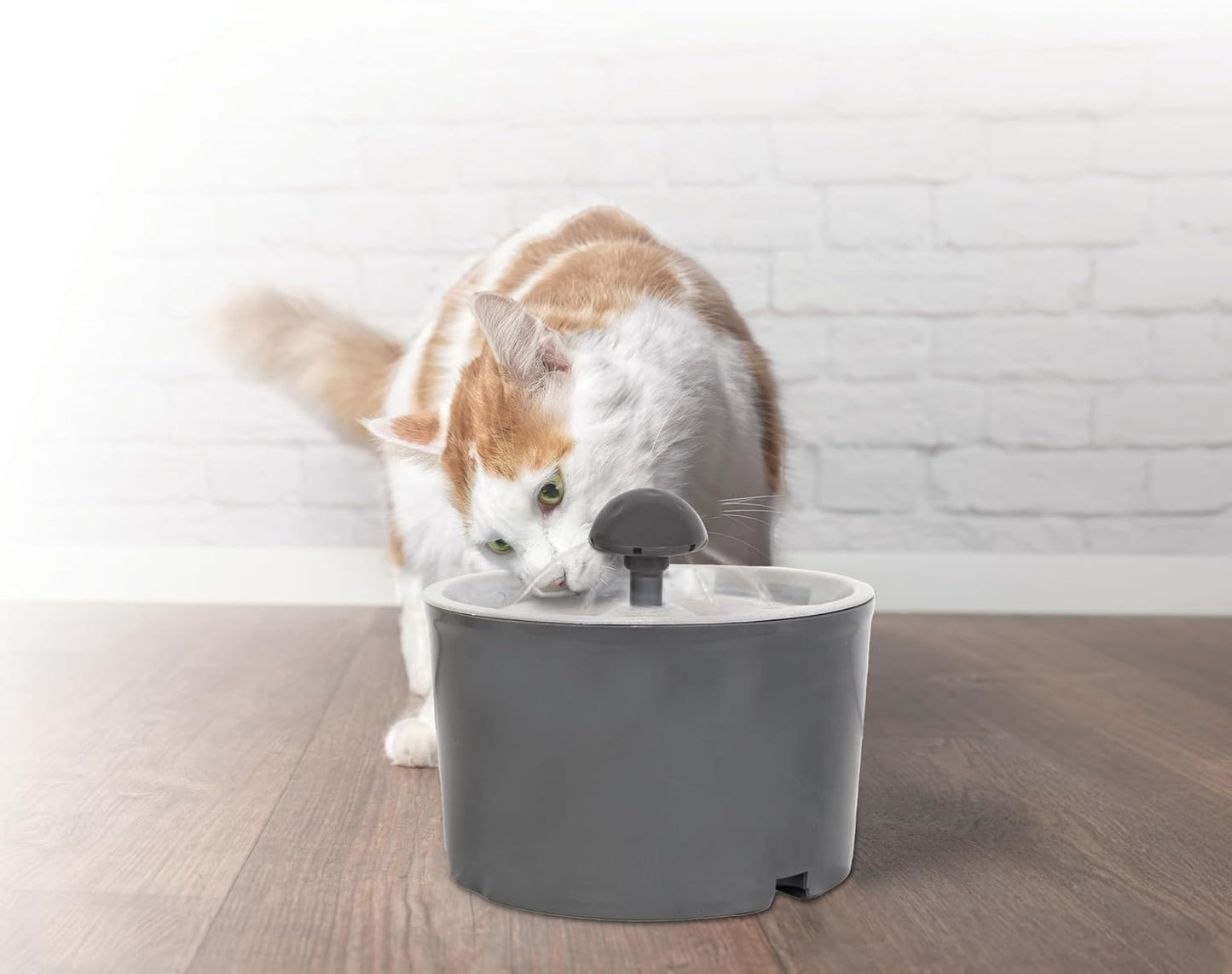Hydro-Station Pet Drinking Fountain, 1.6L Capacity, Charcoal Filter, Gray