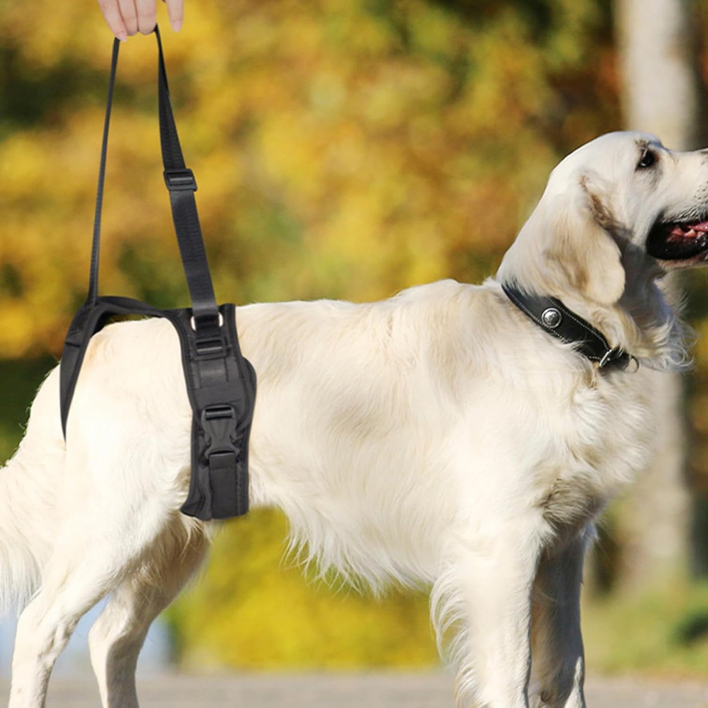 Rehabilitation Dog Carrying Slings for Dog Front Rear Leg Strap Lift Harness for Dog Surgical Joint Leg Recovery