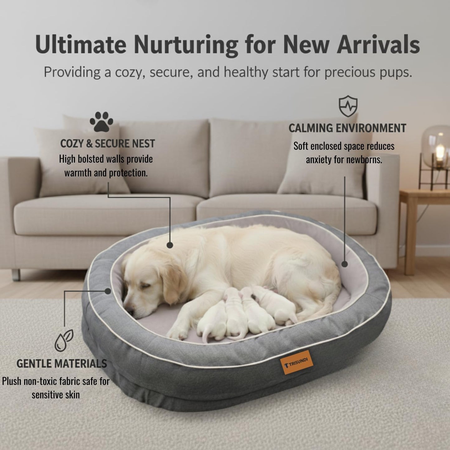 Oval Orthopedic Dog Bed with Removable Washable Cover – Calming Pet Bed with High-Density Honeycomb Sponge, Non-Slip Bottom, Durable Scratch-Resistant Fabric for Medium and Large Dogs