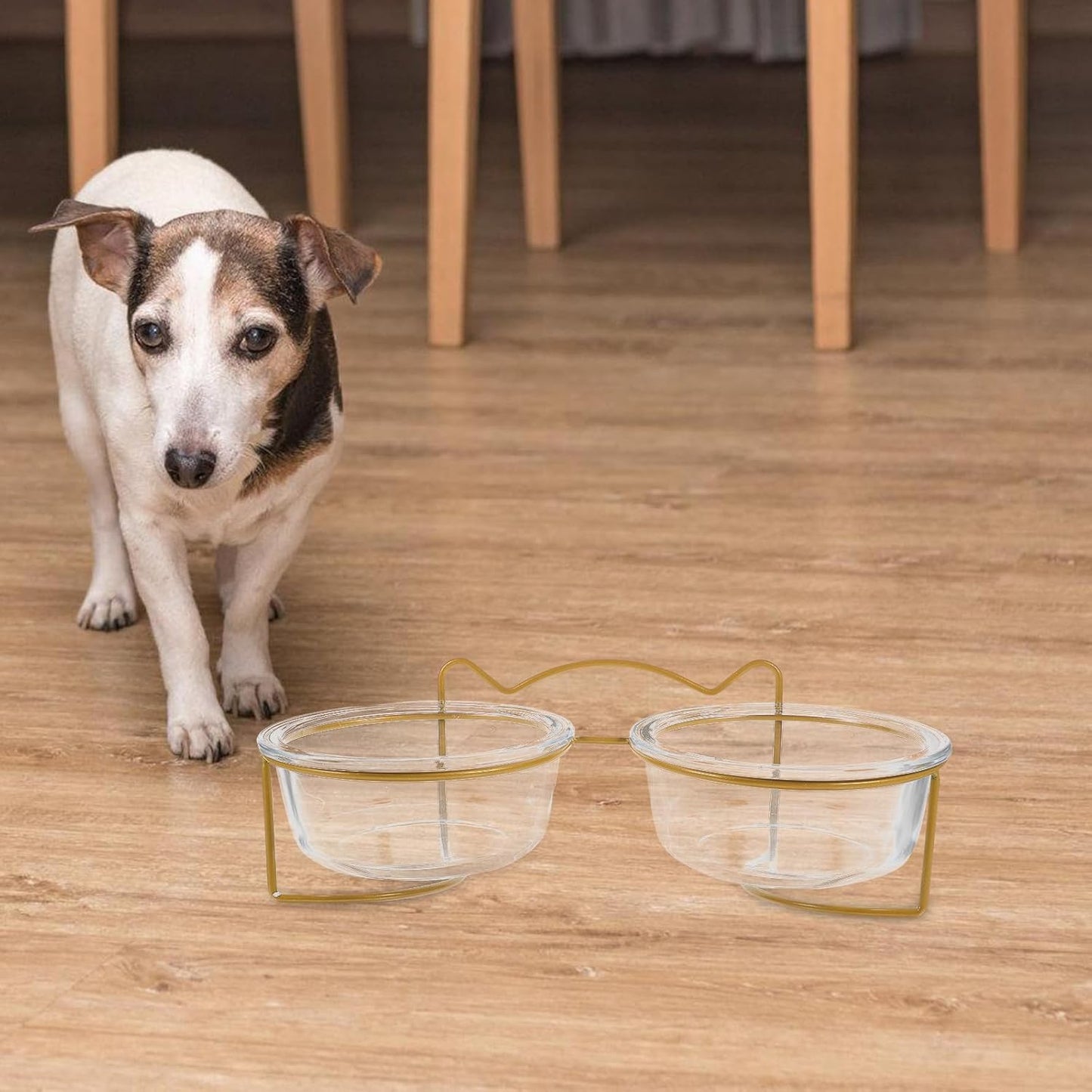 PRETYZOOM Double Raised Pet Feeding Bowls with High Tilt Glass Design and Elevated Stand, Non-Skid Cat and Dog Food Bowls for Healthy Eating, Suitable for Cats and Small Dogs