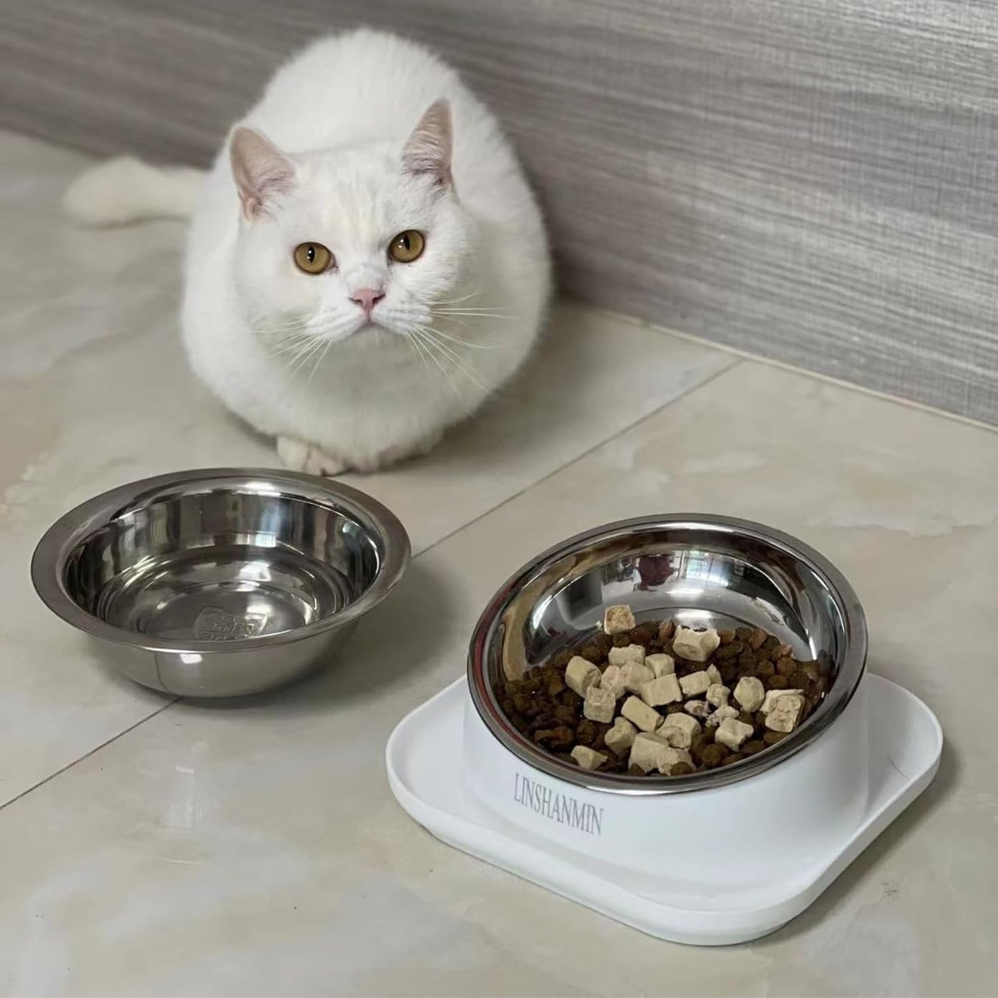 Cat Bowls Elevated Tilted Whisker Friendly, Cat Food Bowls for Indoor Cats, Shallow Food Dishes Stainless Steel, Slanted Flat Plastic Feeder Elevated Angled Design.(White)