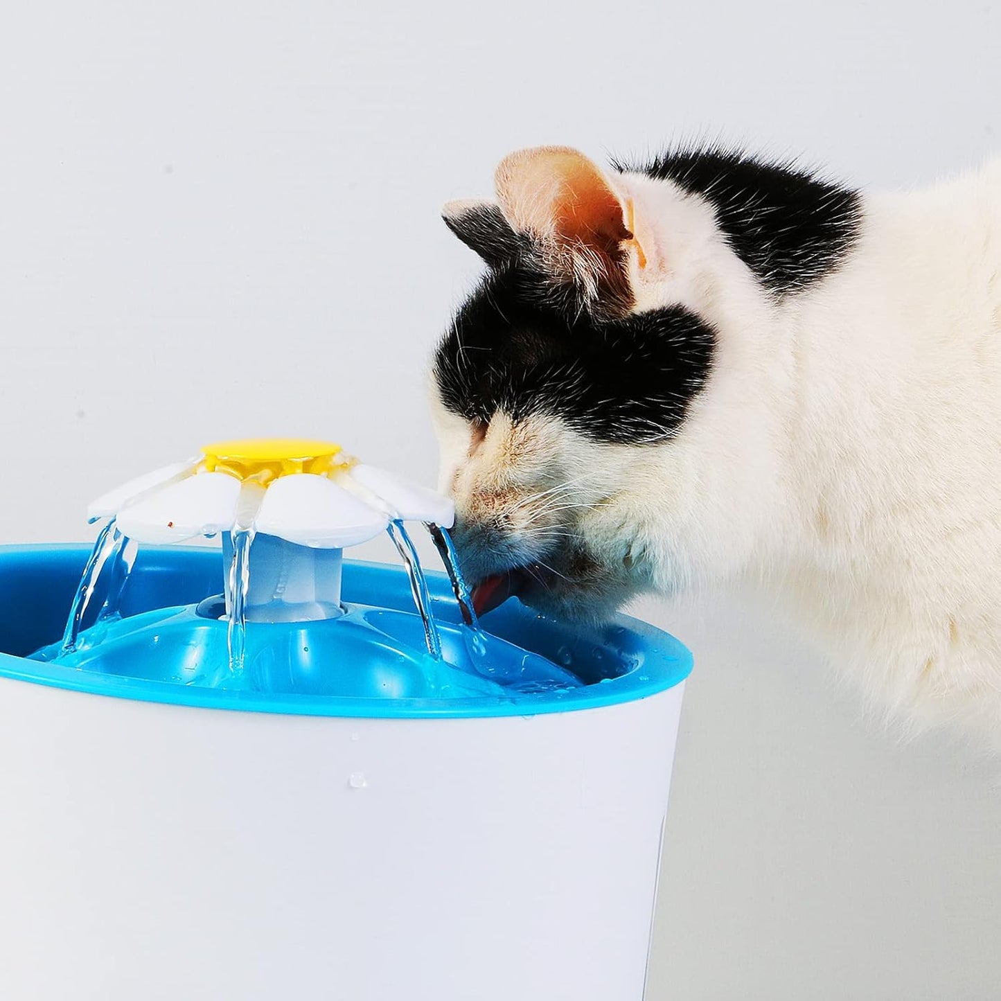 Outus Sponge Filter for Cat Water Fountain Replacement Pet Drinking Sponge Foam Filter for Pet Dog Fountain (8 Pieces)