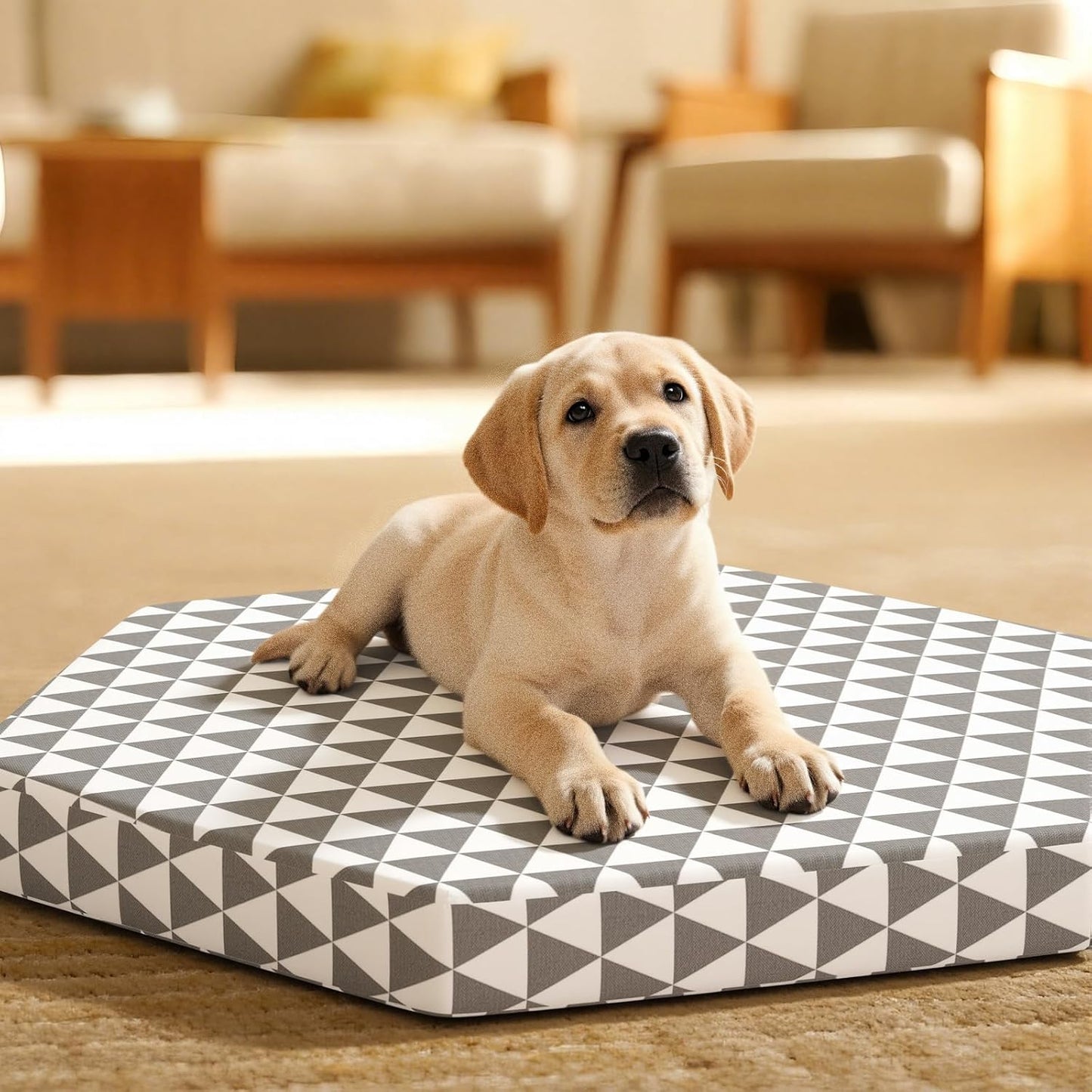 Orthopedic Dog Beds for Small Dogs, Pet Bed with 6 Sides,Removable & cleanable Cover，S